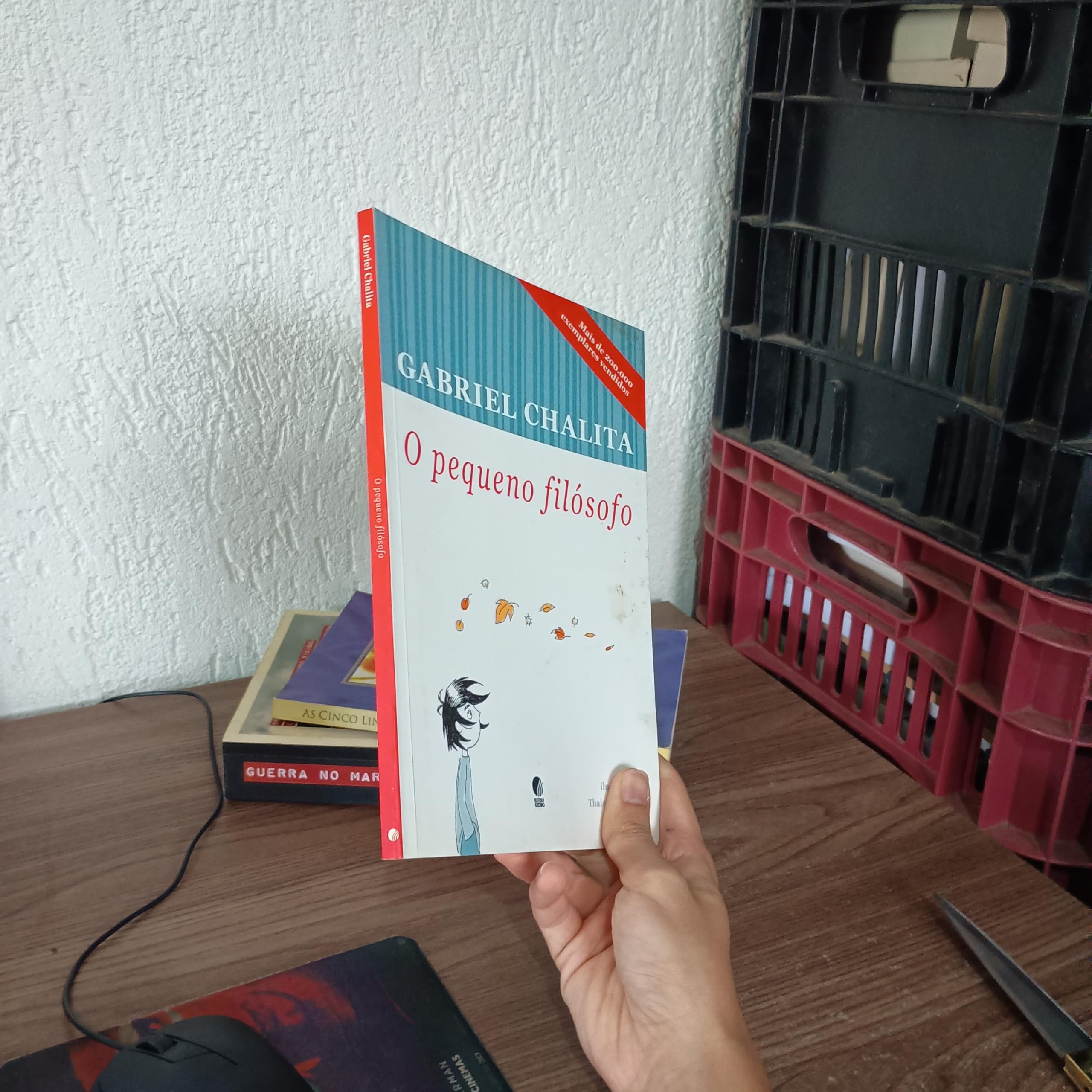 O Pequeno Filosofo (Em Portuguese do Brasil) book