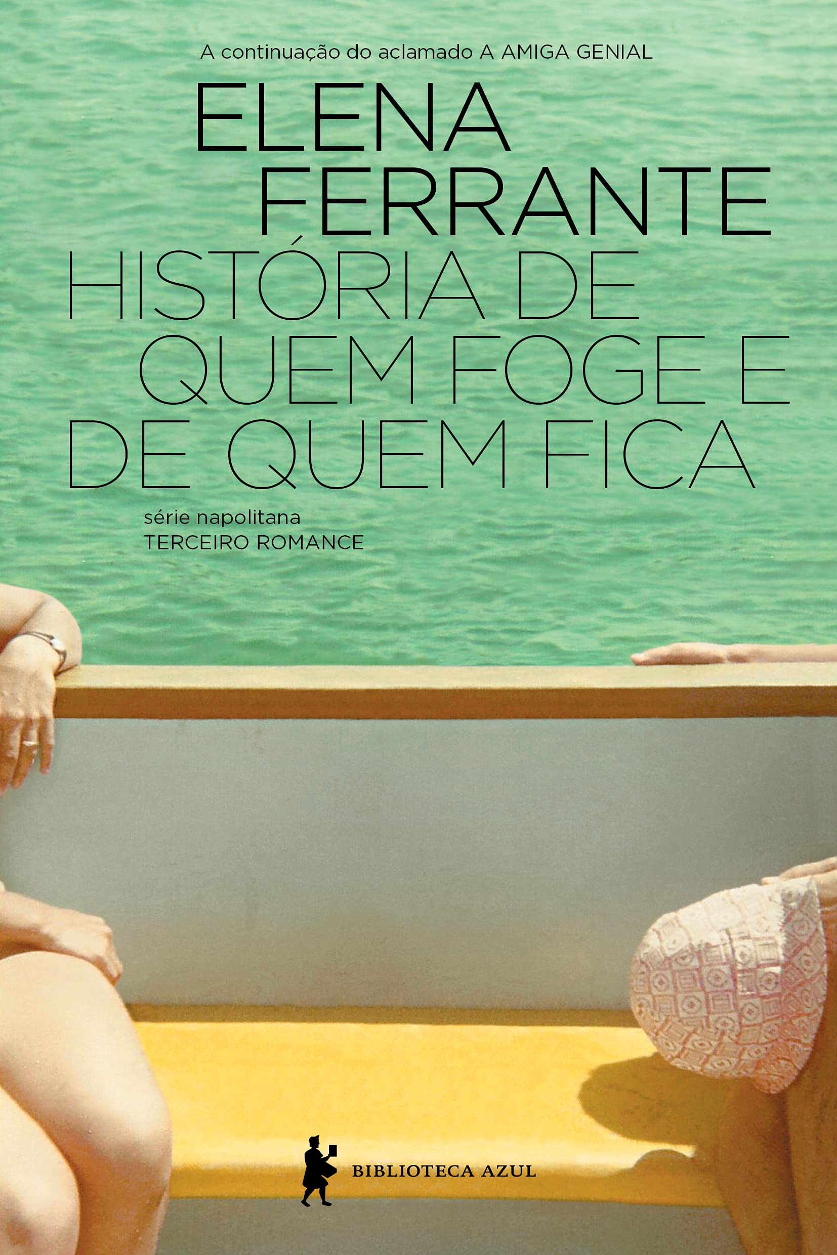História de Quem Foge e Quem Fica (Em Portuguese do Brasil) Books