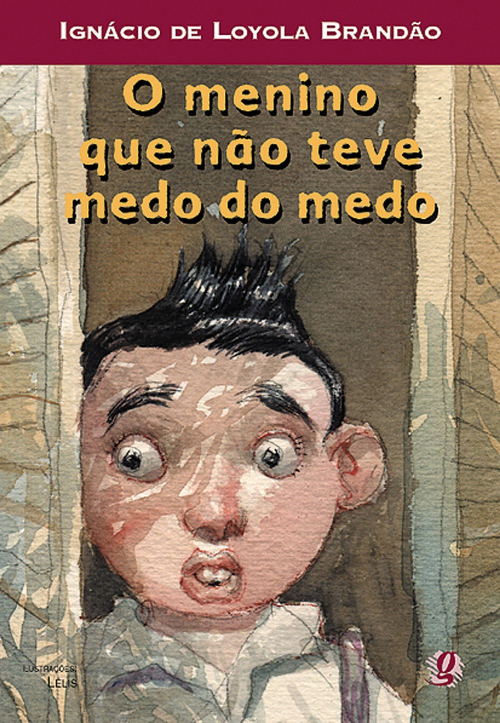 O Menino Que Não Teve Medo do Medo (Brasilianisch Portugiesisch) Books