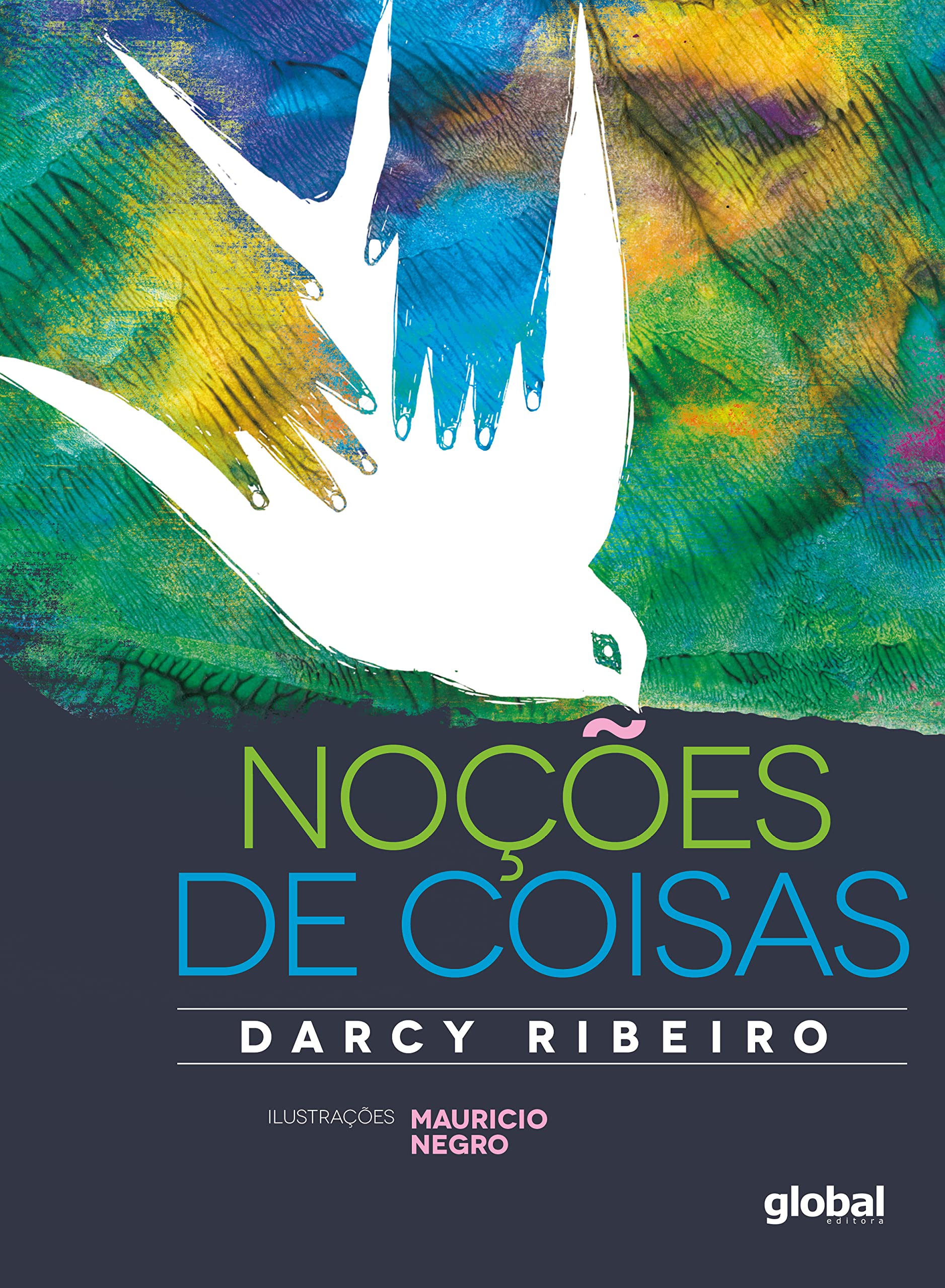 Noções de Coisas (Em Portuguese do Brasil) Books