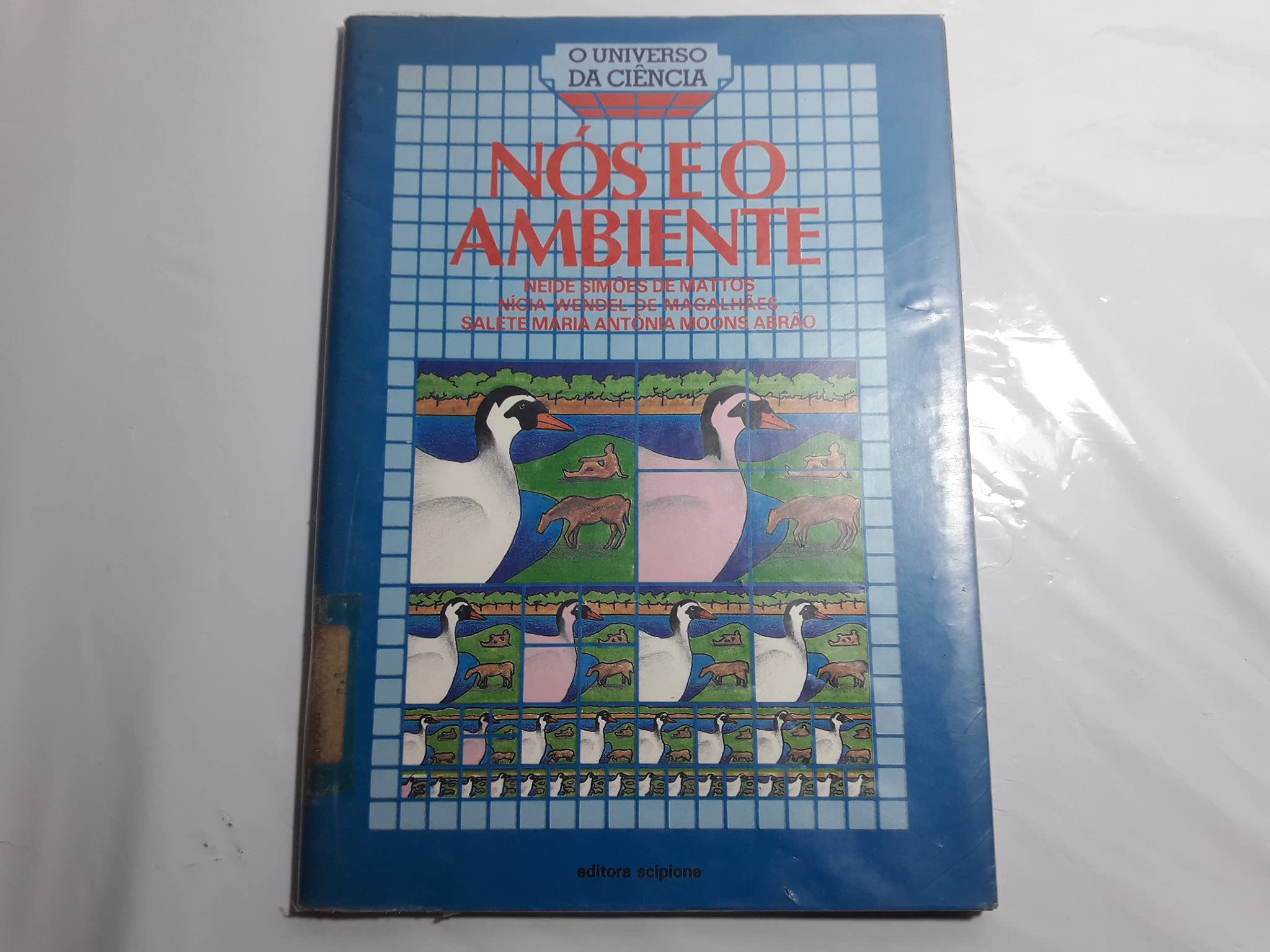 Product Image: Nos E O Ambiente (Em Portuguese do Brasil)