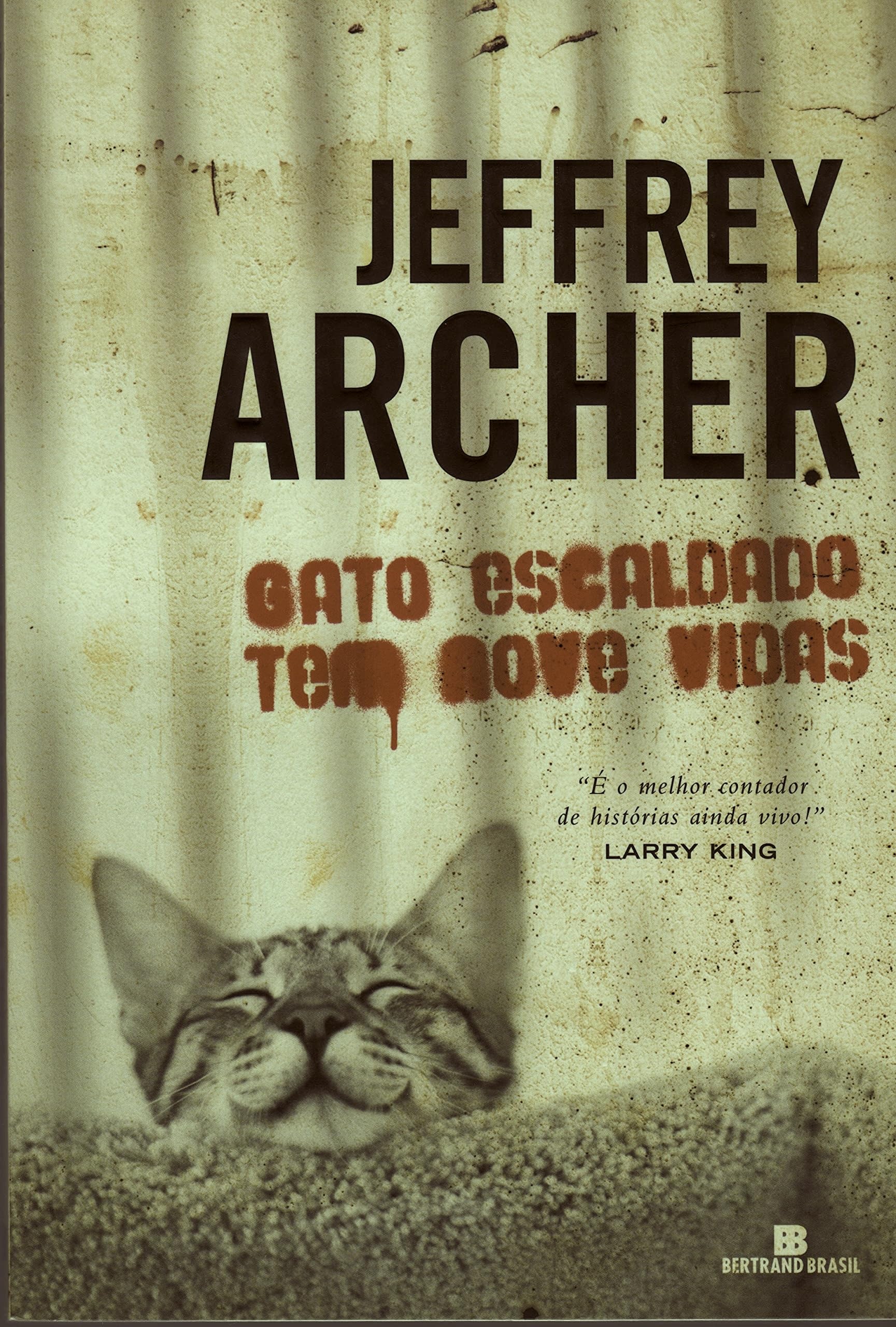 GATO ESCALDADO TEM NOVE VIDAS book