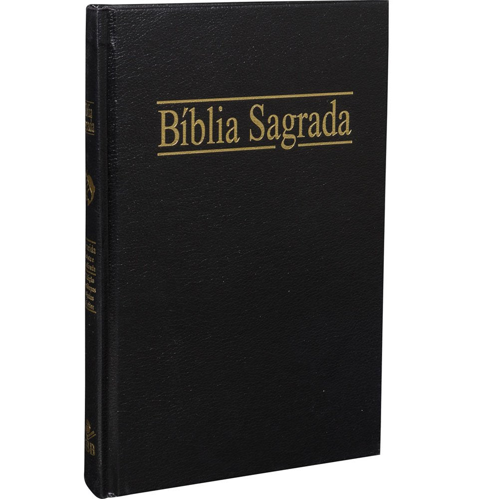Santa Bíblia Para la evangelización / For Evangelization (Portuguese Edition) Religion & Esotericism