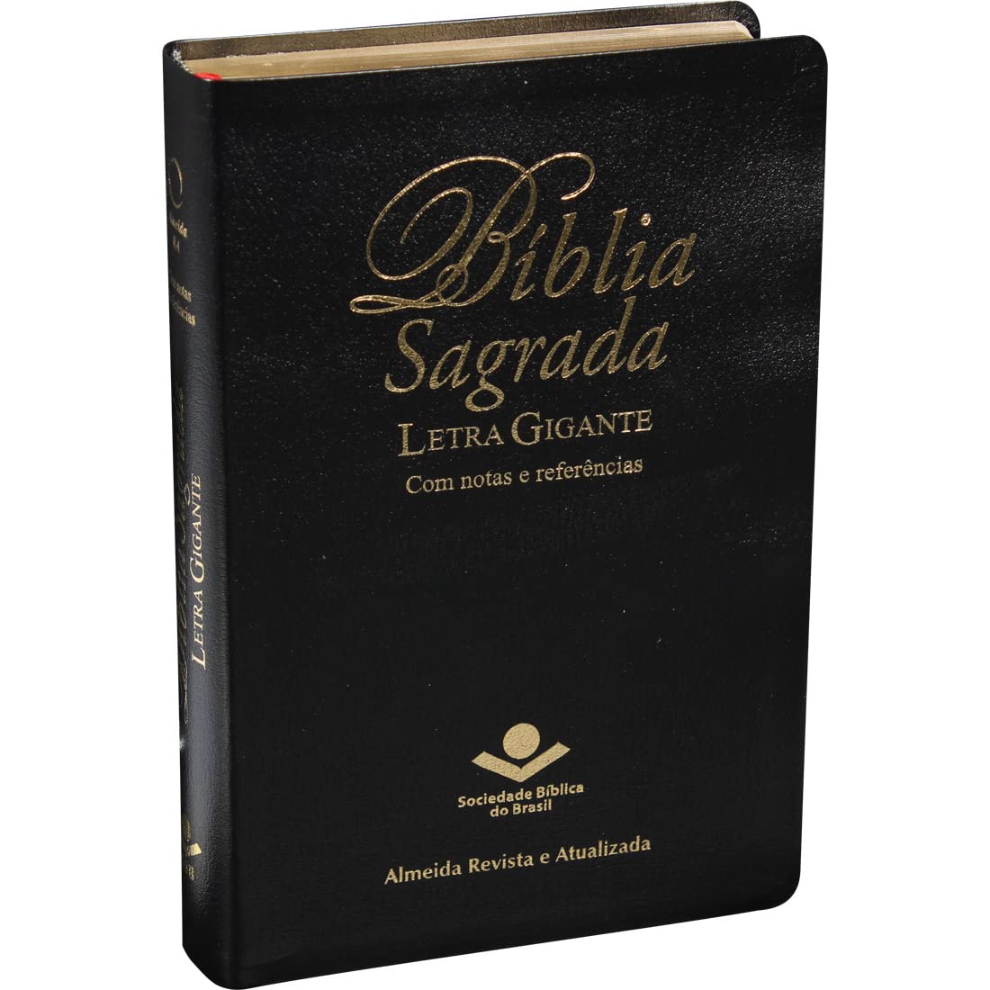 Biblia Segrada Letra Gigante Com Notas E Referencias-FL book