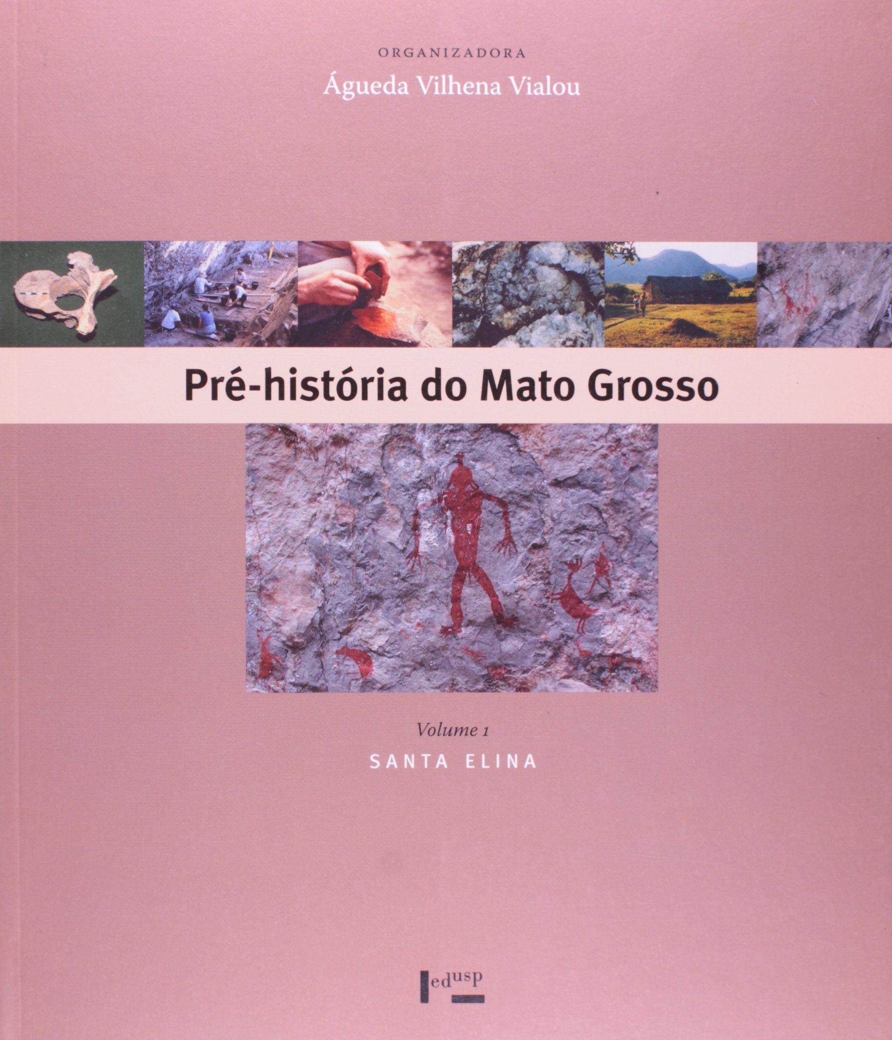 Pré-História do Mato Grosso. Santa Elina - Volume1 Books