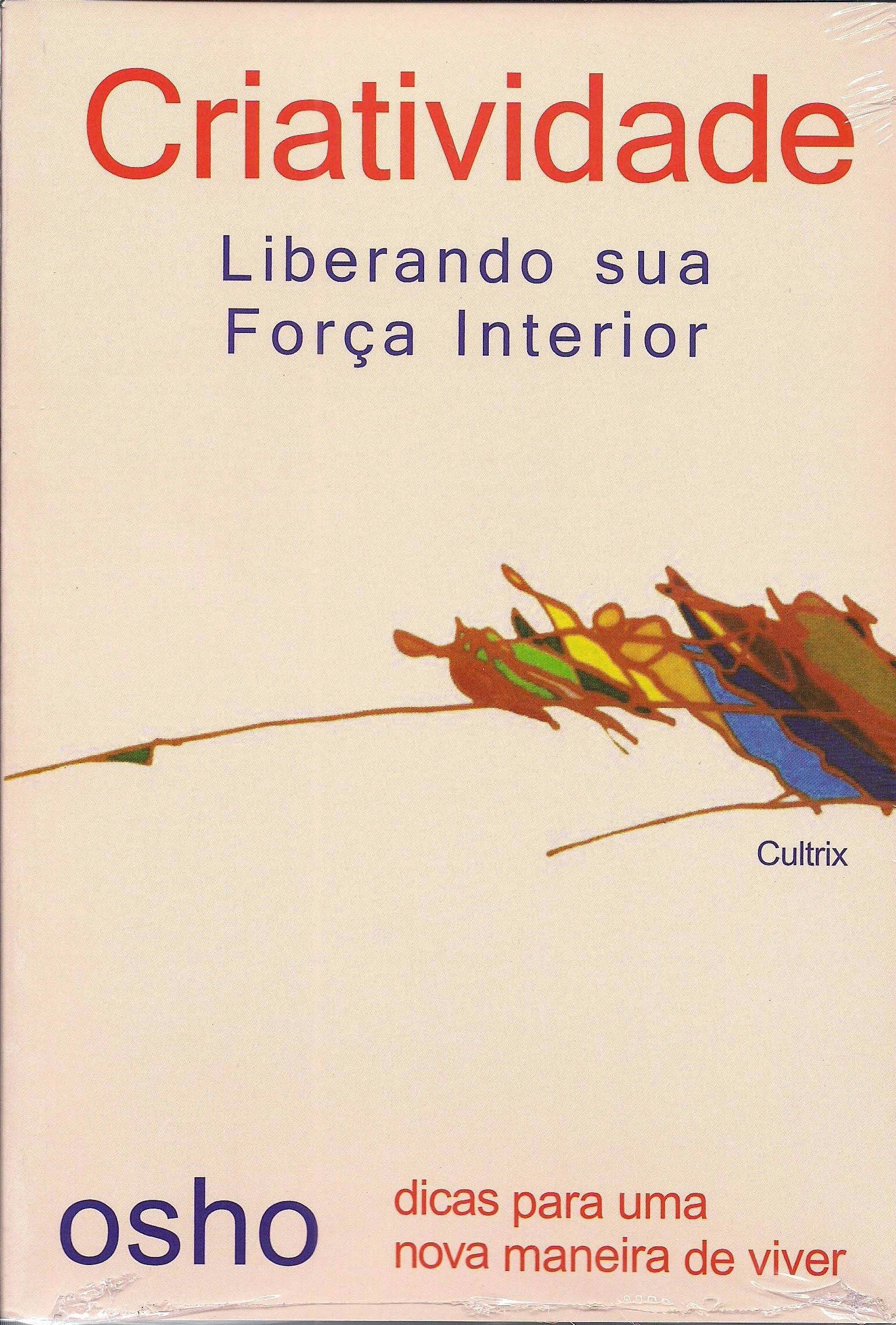 Criatividade. Liberando Sua Força Maior (Em Portuguese do Brasil) book
