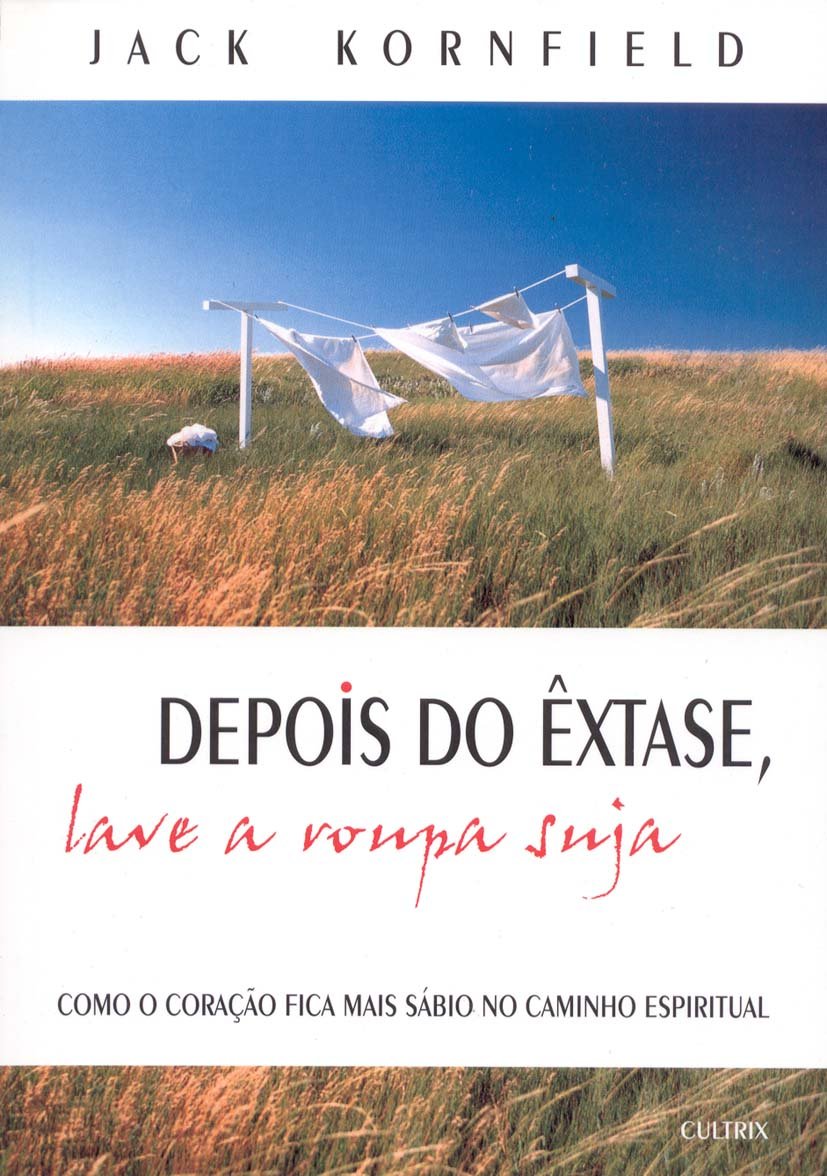 Depois do Êxtase, Lave a Roupa Suja (Em Portuguese do Brasil) Books