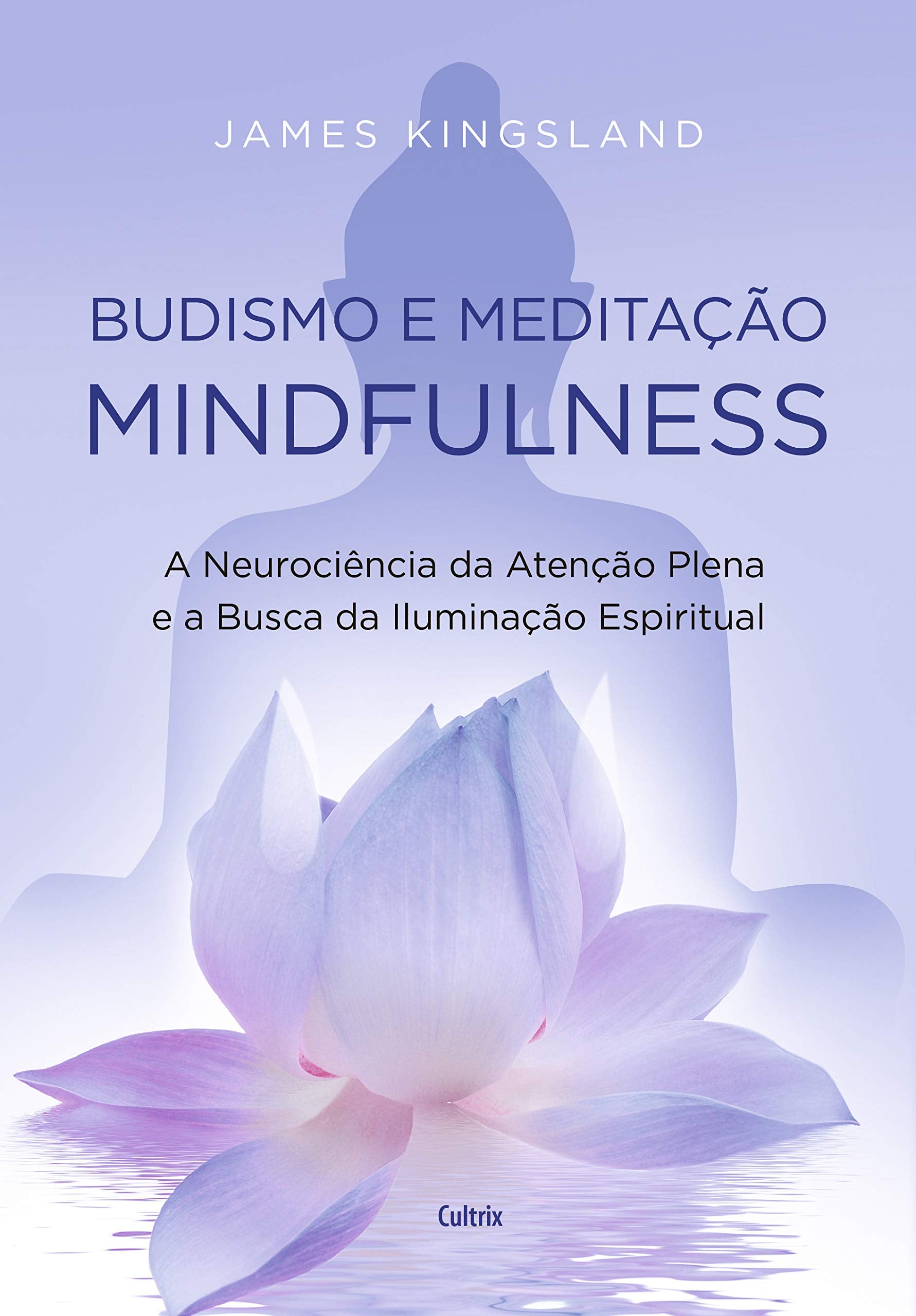 Budismo e meditação mindfulness: A neurociência da atenção plena e a busca pela iluminação espiritual book