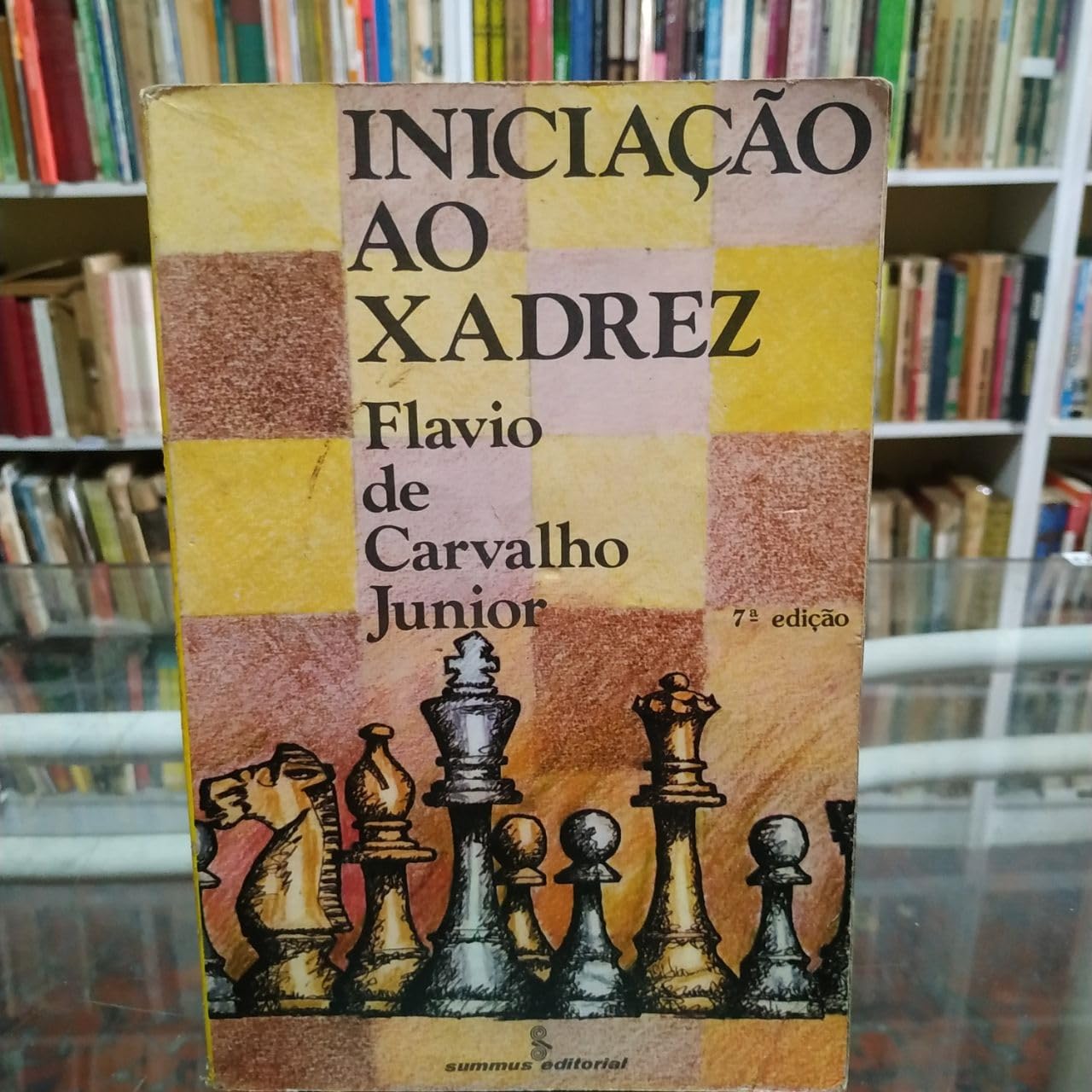 Iniciação Ao Xadrez (Em Portuguese do Brasil) Books