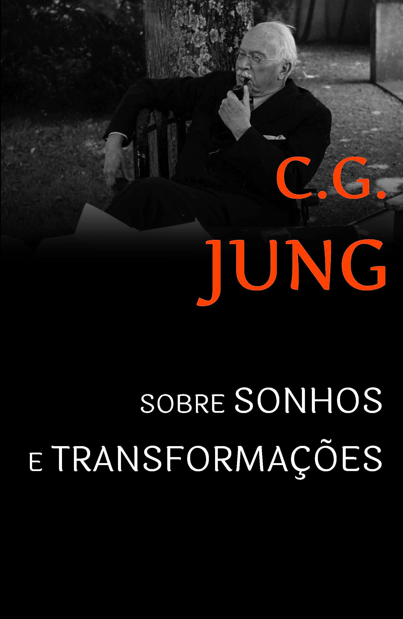 Sobre Sonhos e Transformações. Sessões de Perguntas em Zurique (Em Portuguese do Brasil) book