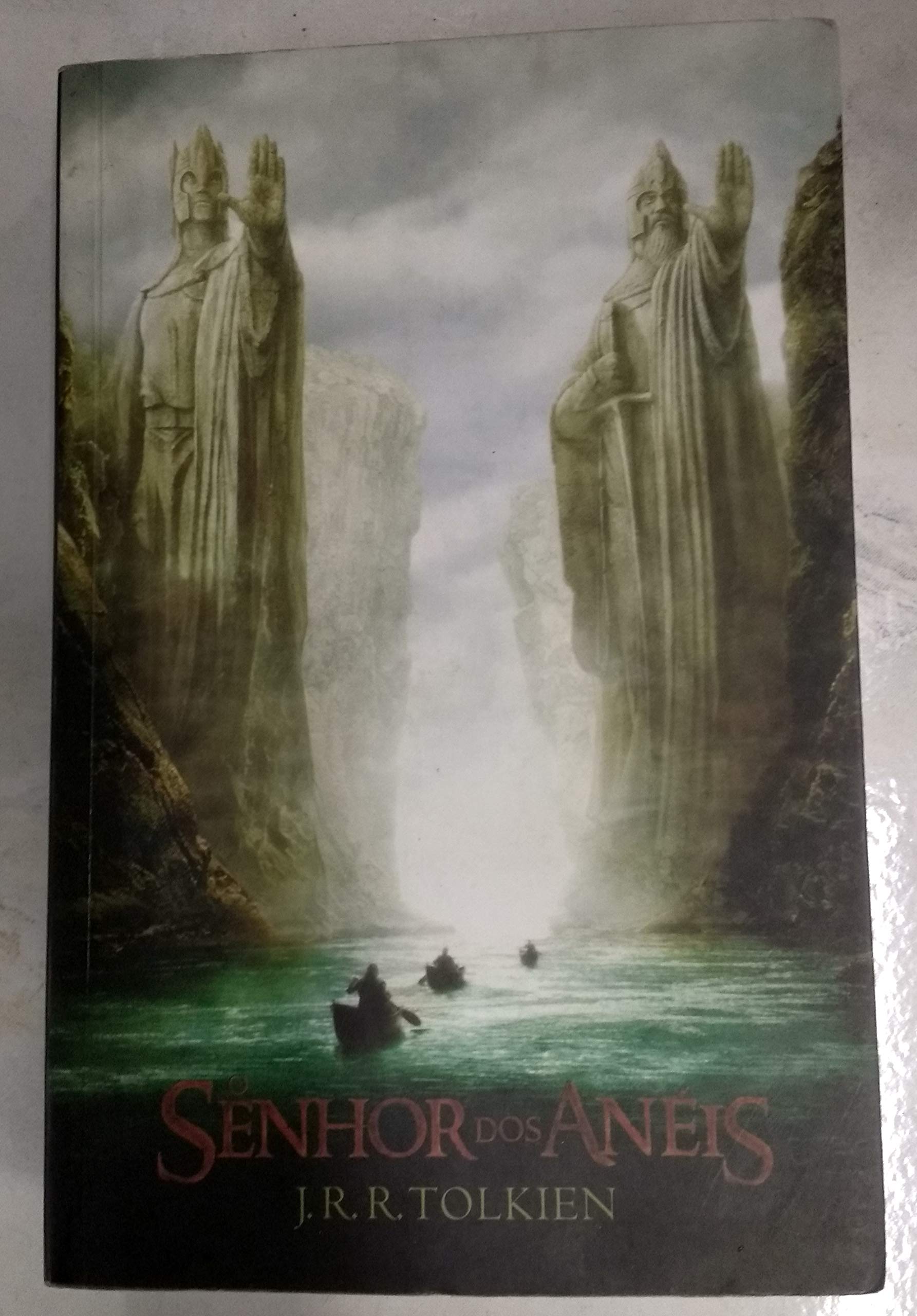 O Senhor dos Anéis - Volume Único (Em Portuguese do Brasil) Books