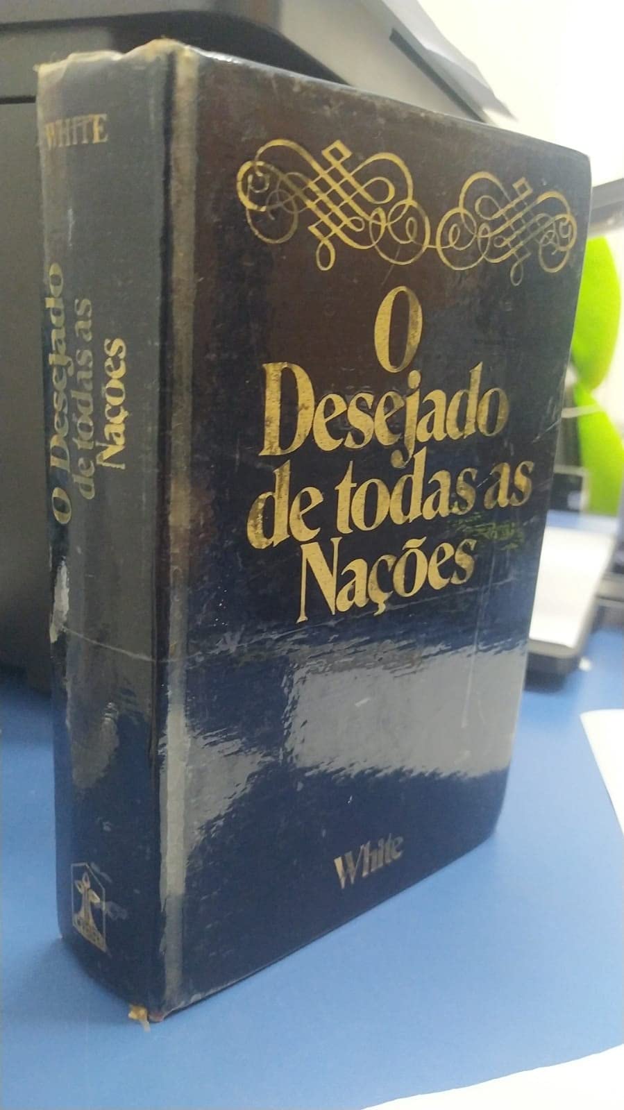 Questões Sobre Doutrina (Em Portuguese do Brasil) Books