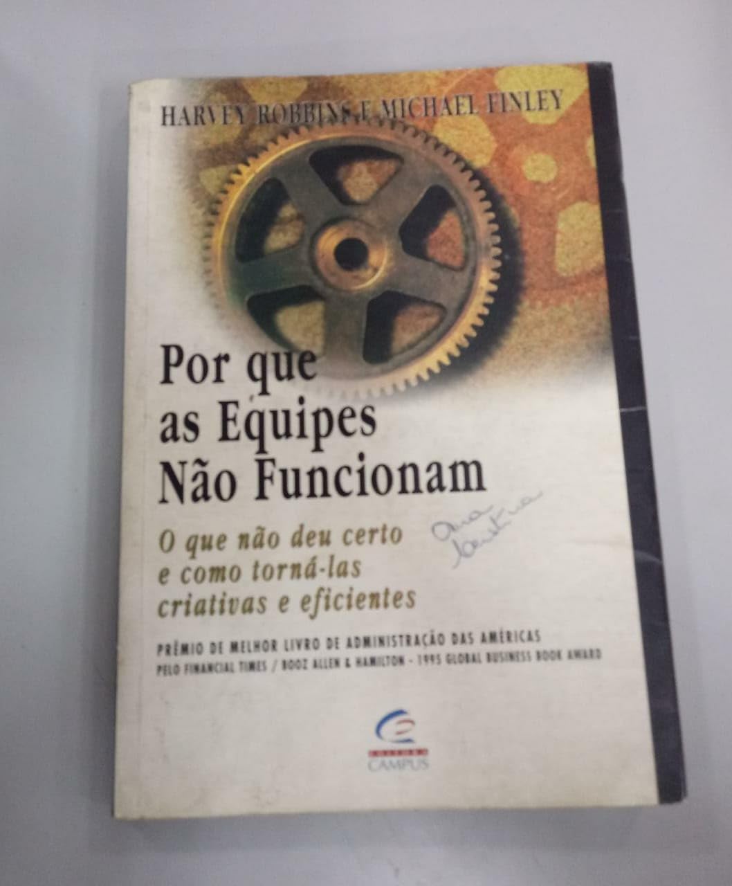 Por Que As Equipes Não Funcionam (Em Portuguese do Brasil) book