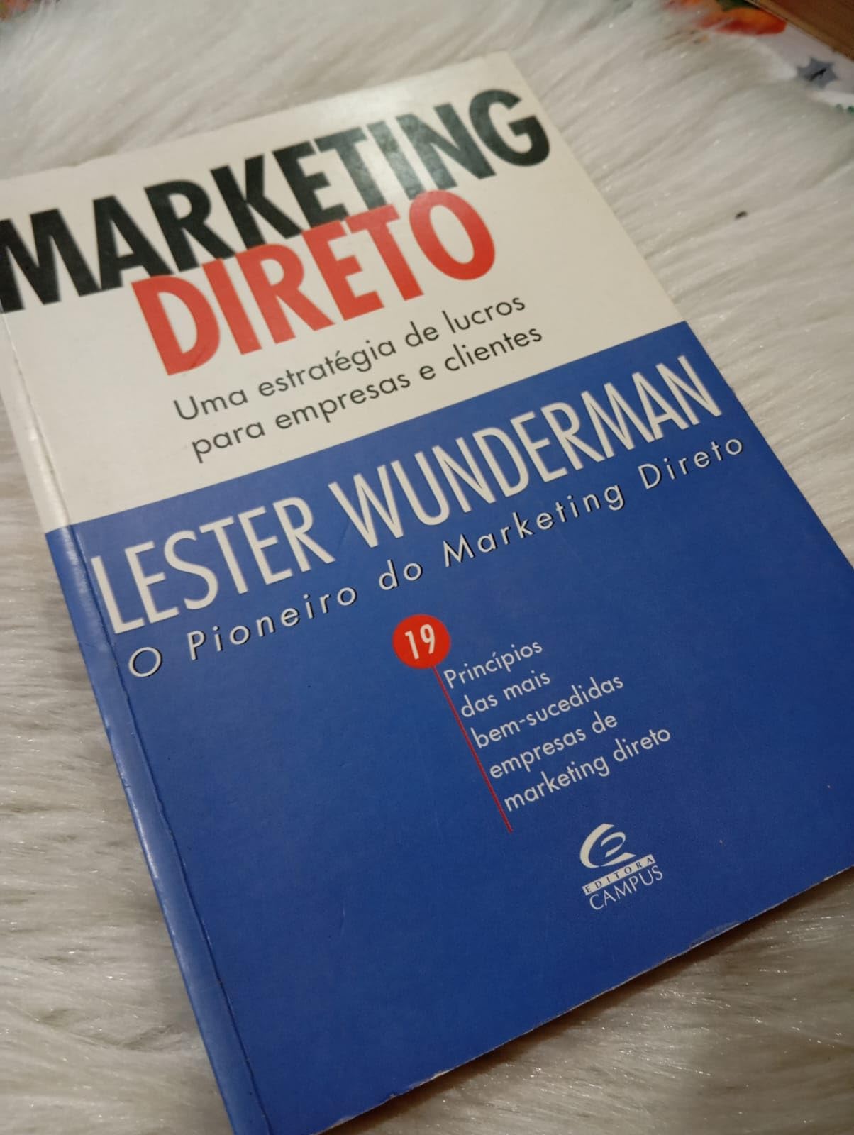 Marketing Direto - Uma Estrategia De Lucros Para Empresas E Clientes (Em Portuguese do Brasil) book