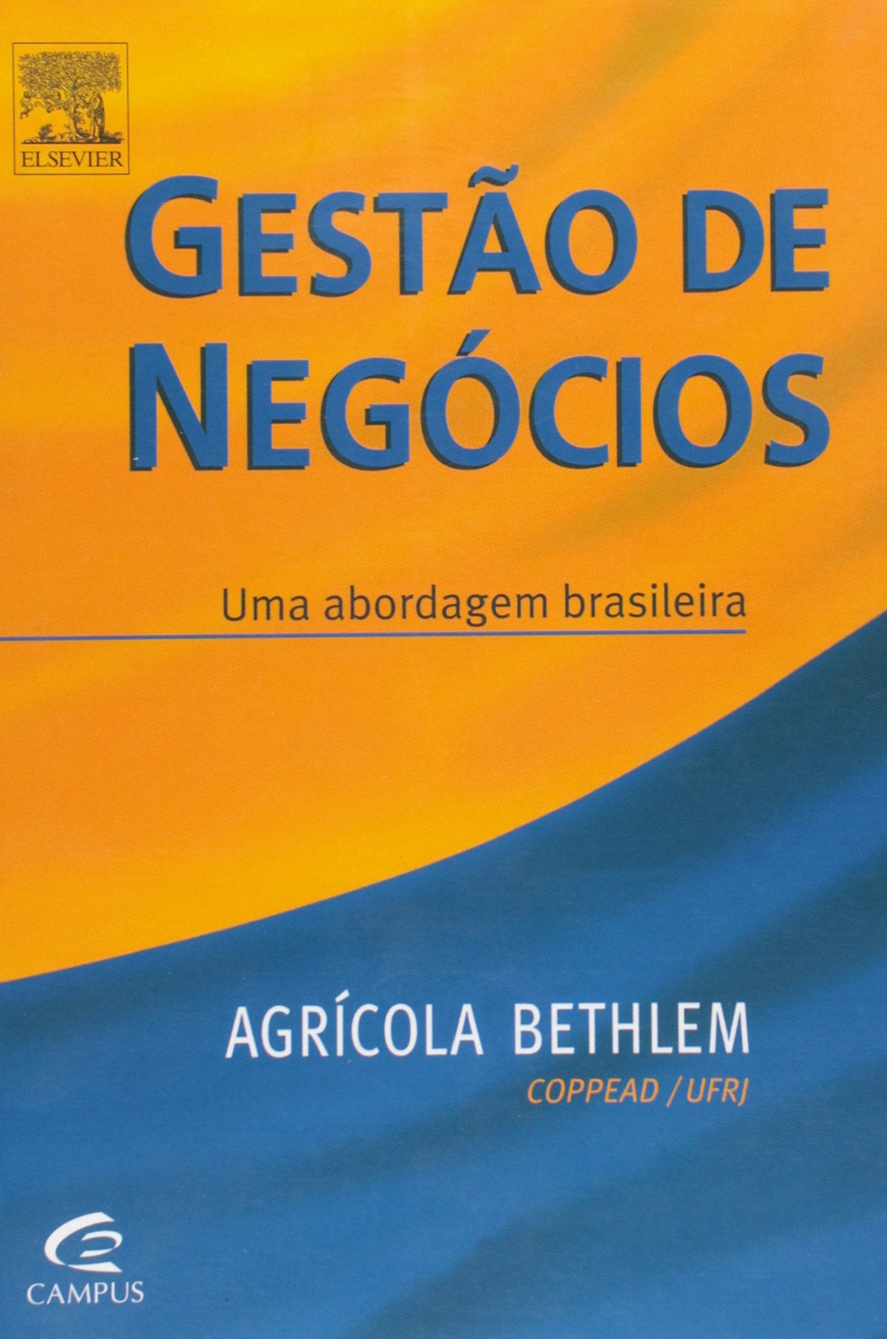 Gestão de Negócios. Uma Abordagem Brasileira (Em Portuguese do Brasil) Books