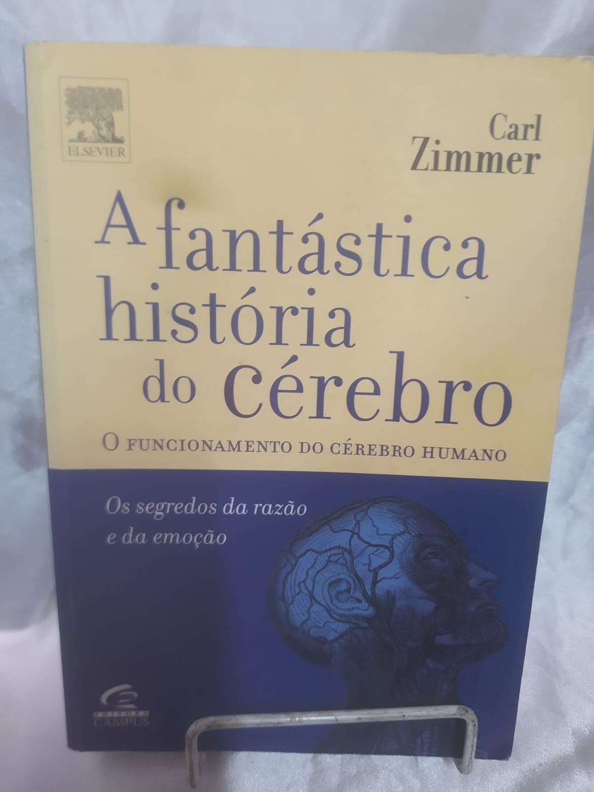 Como Não Aprender Inglês (Em Portuguese do Brasil) book