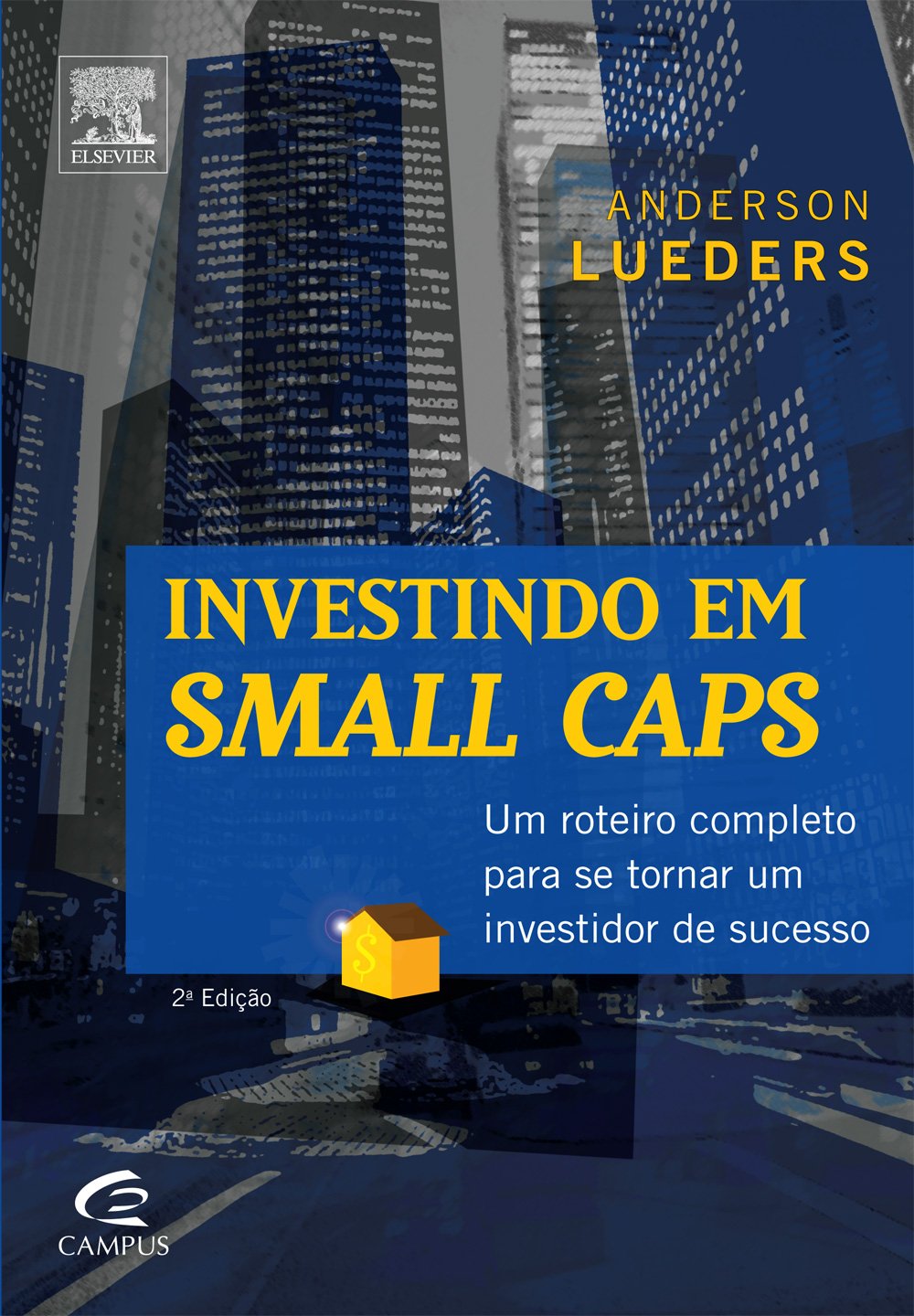 Investindo em Small Caps (Em Portuguese do Brasil) Books