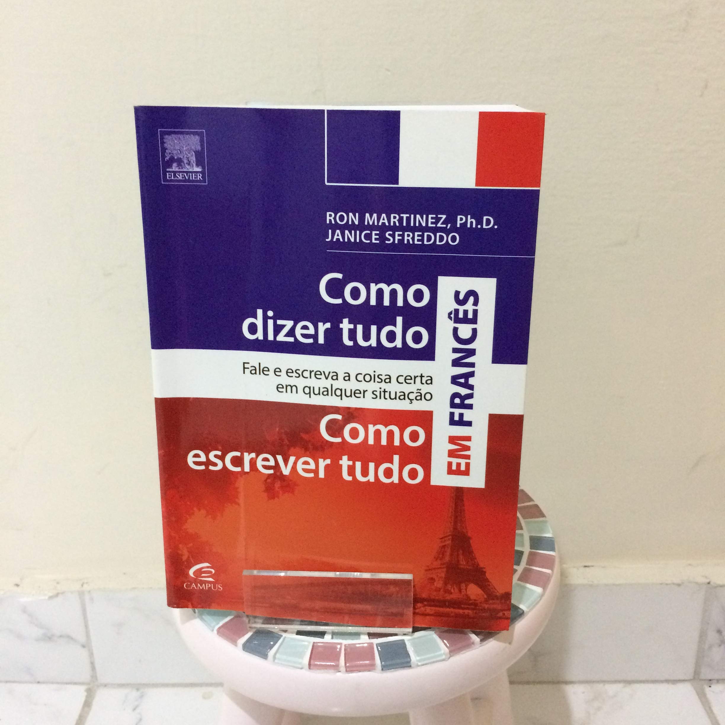 COMO DIZER TUDO E COMO ESCREVER TUDO EM FRANCES Books