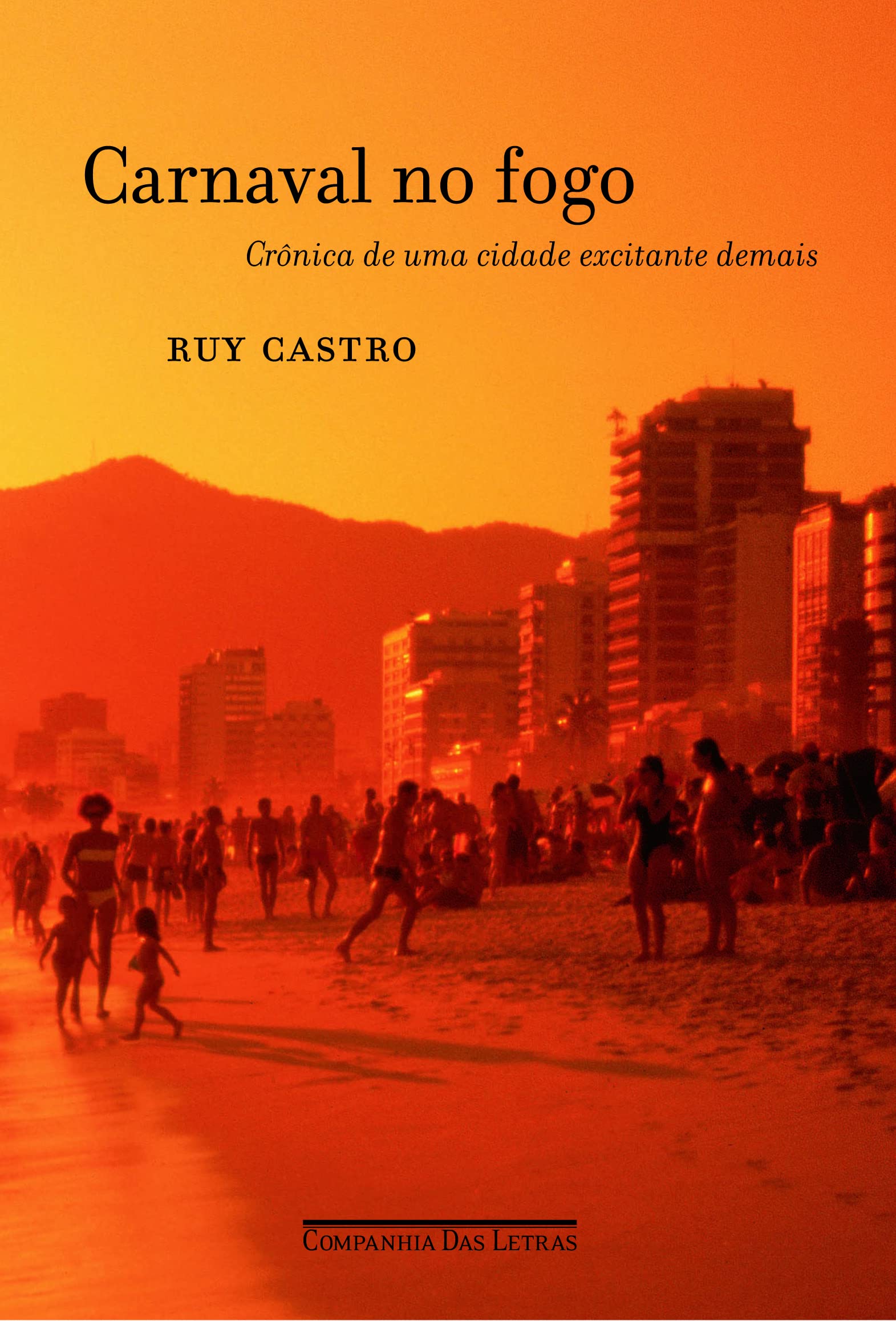 Carnaval no fogo - Crônica de uma cidade excitante demais (portugiesisch) Books