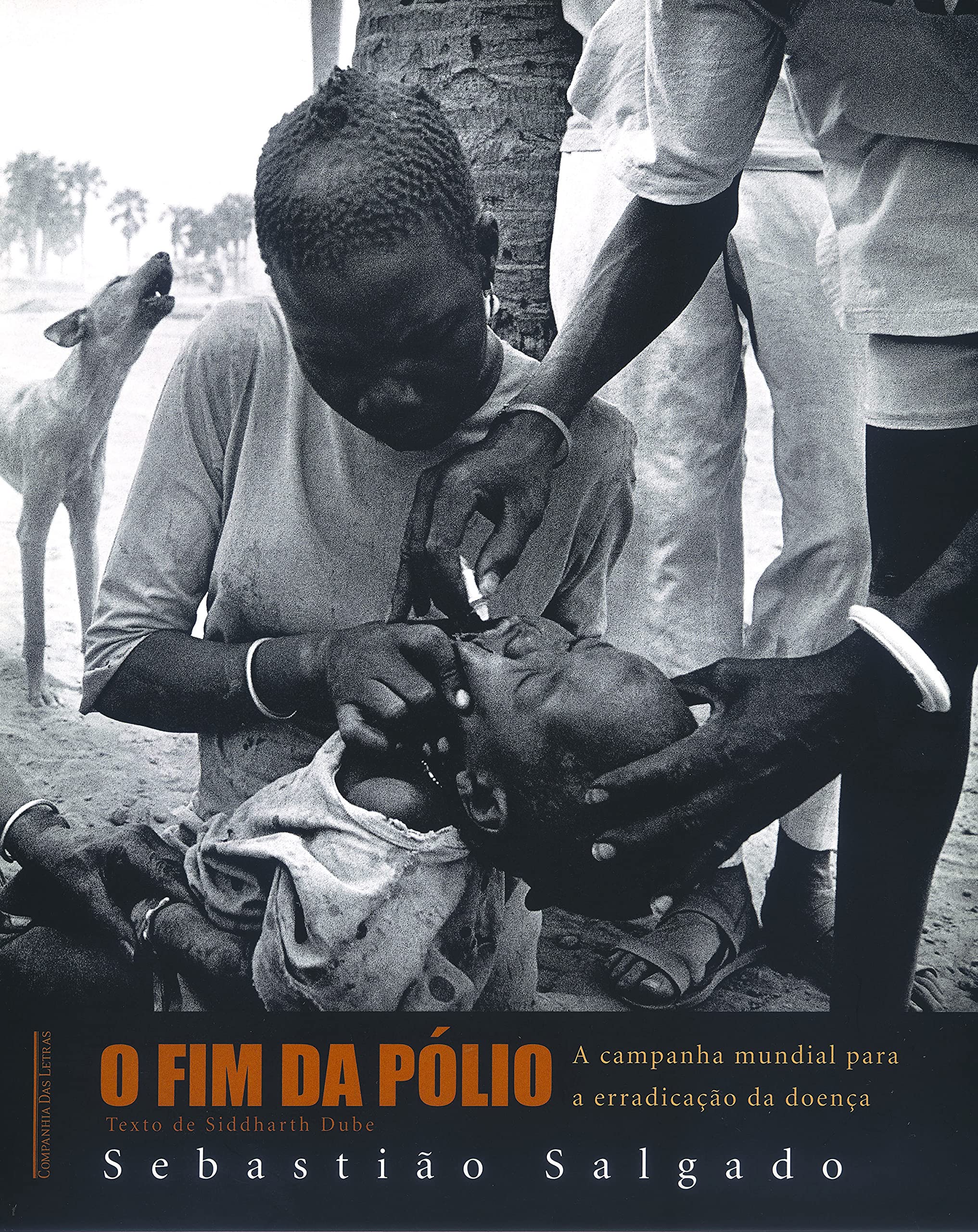 O Fim da Pólio (Em Portuguese do Brasil) Books