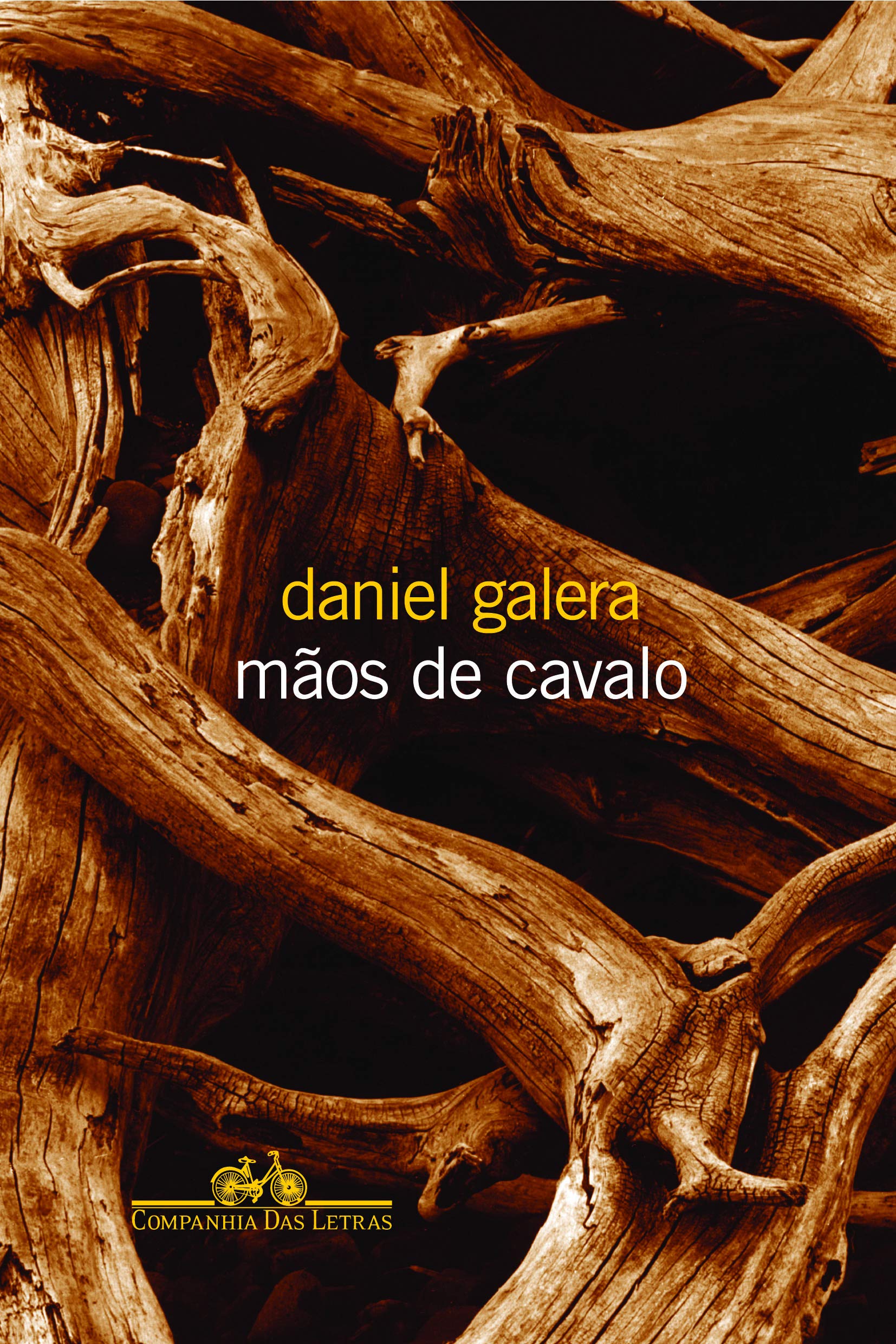 MÃOS DE CAVALO (Em Portuguese do Brasil) book