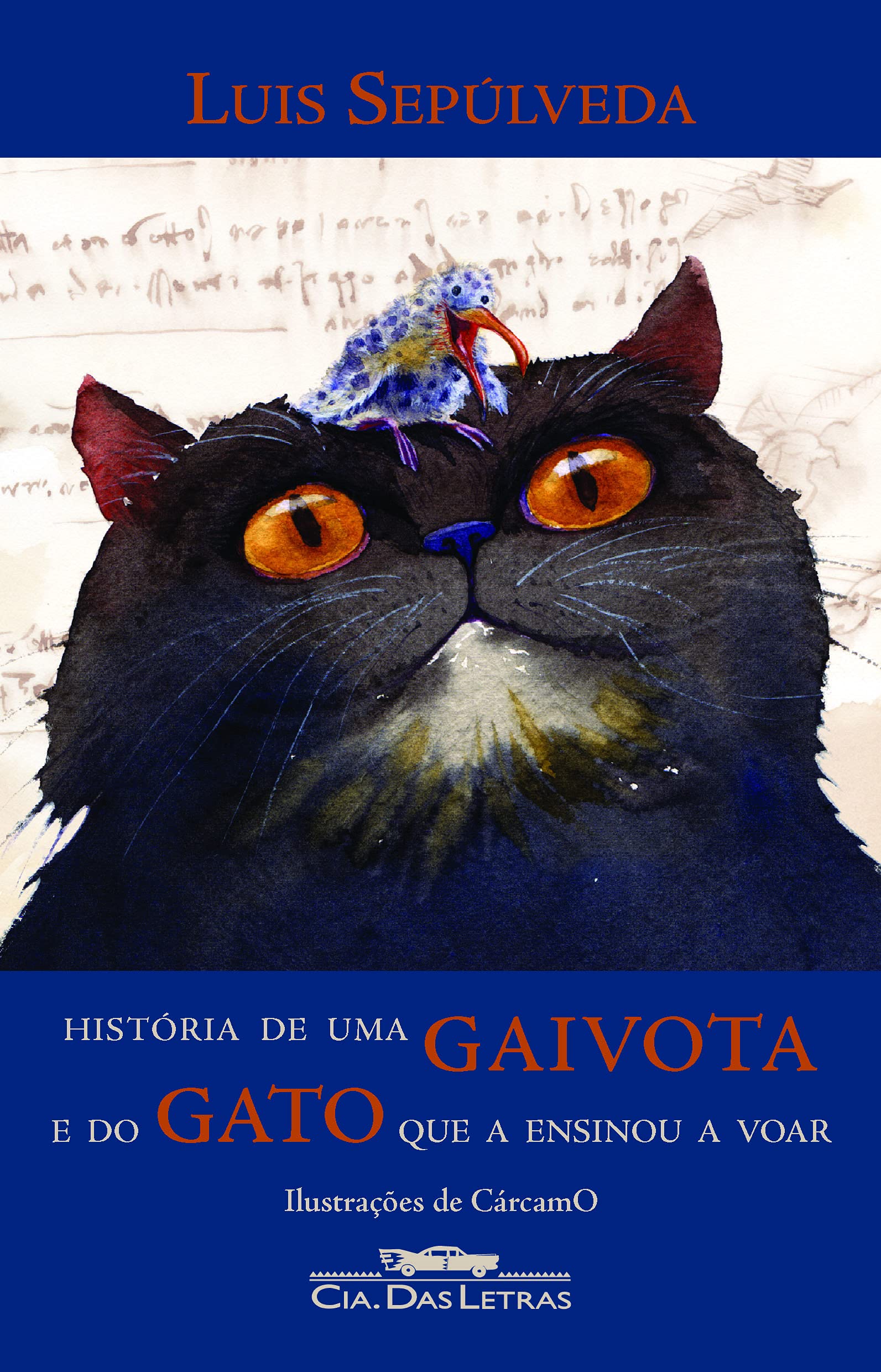 HISTÓRIA DE UMA GAIVOTA E DO GATO QUE A ENSINOU A VOAR (Em Portuguese do Brasil) Books