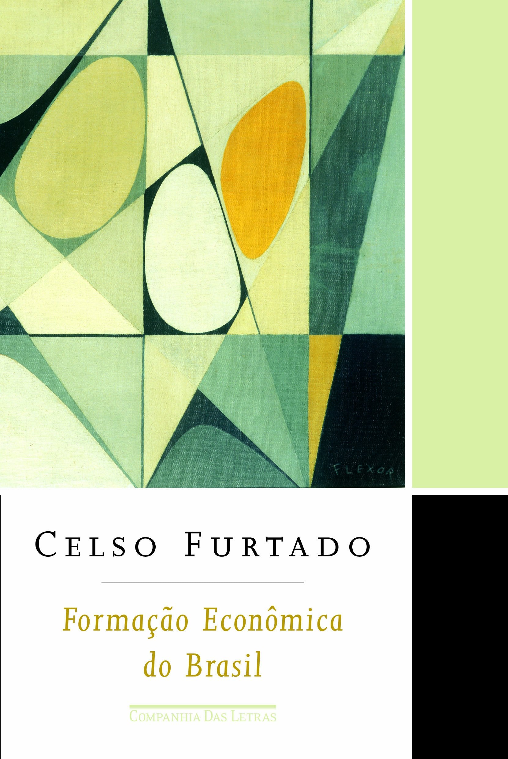 FORMAÇÃO ECONÔMICA DO BRASIL (Em Portuguese do Brasil) book