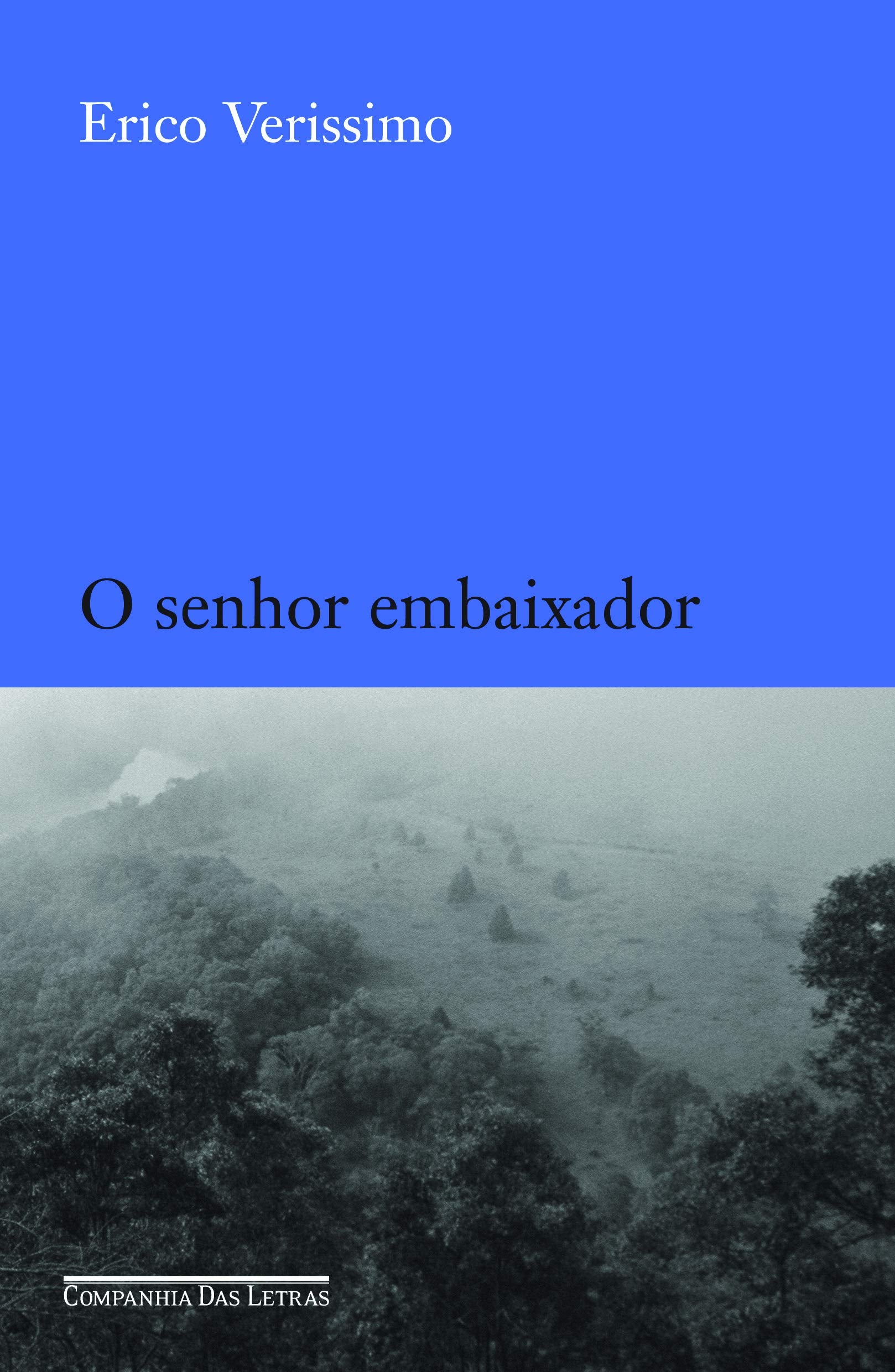 SENHOR EMBAIXADOR, O (Em Portuguese do Brasil) book