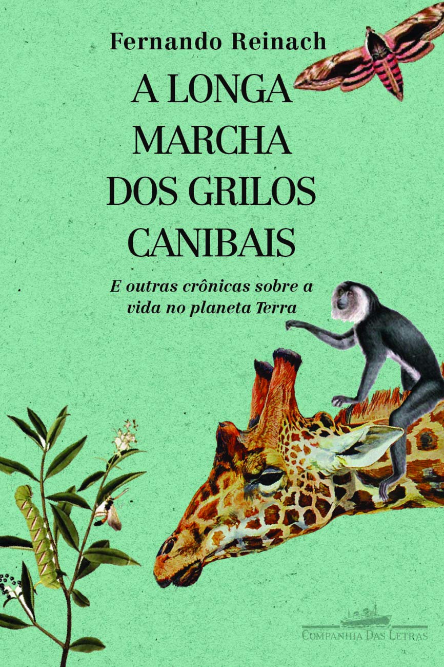 A longa marcha dos grilos canibais (portugiesisch) Books