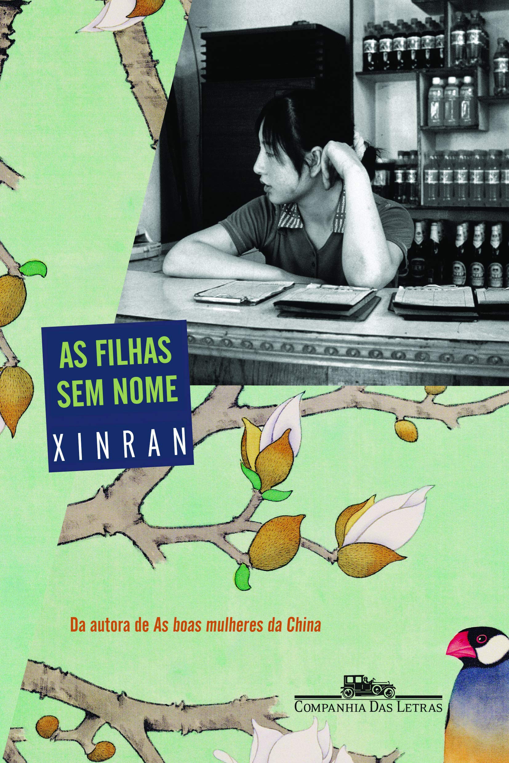 FILHAS SEM NOME, AS (Em Portuguese do Brasil) Books