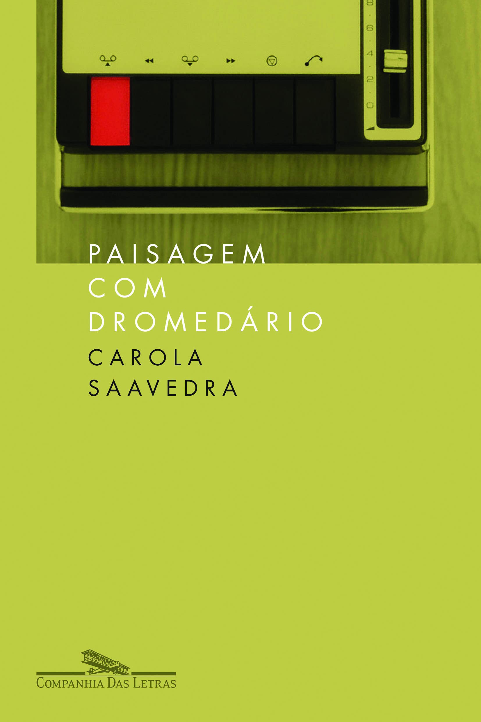 PAISAGEM COM DROMEDÁRIO (Em Portuguese do Brasil) Books