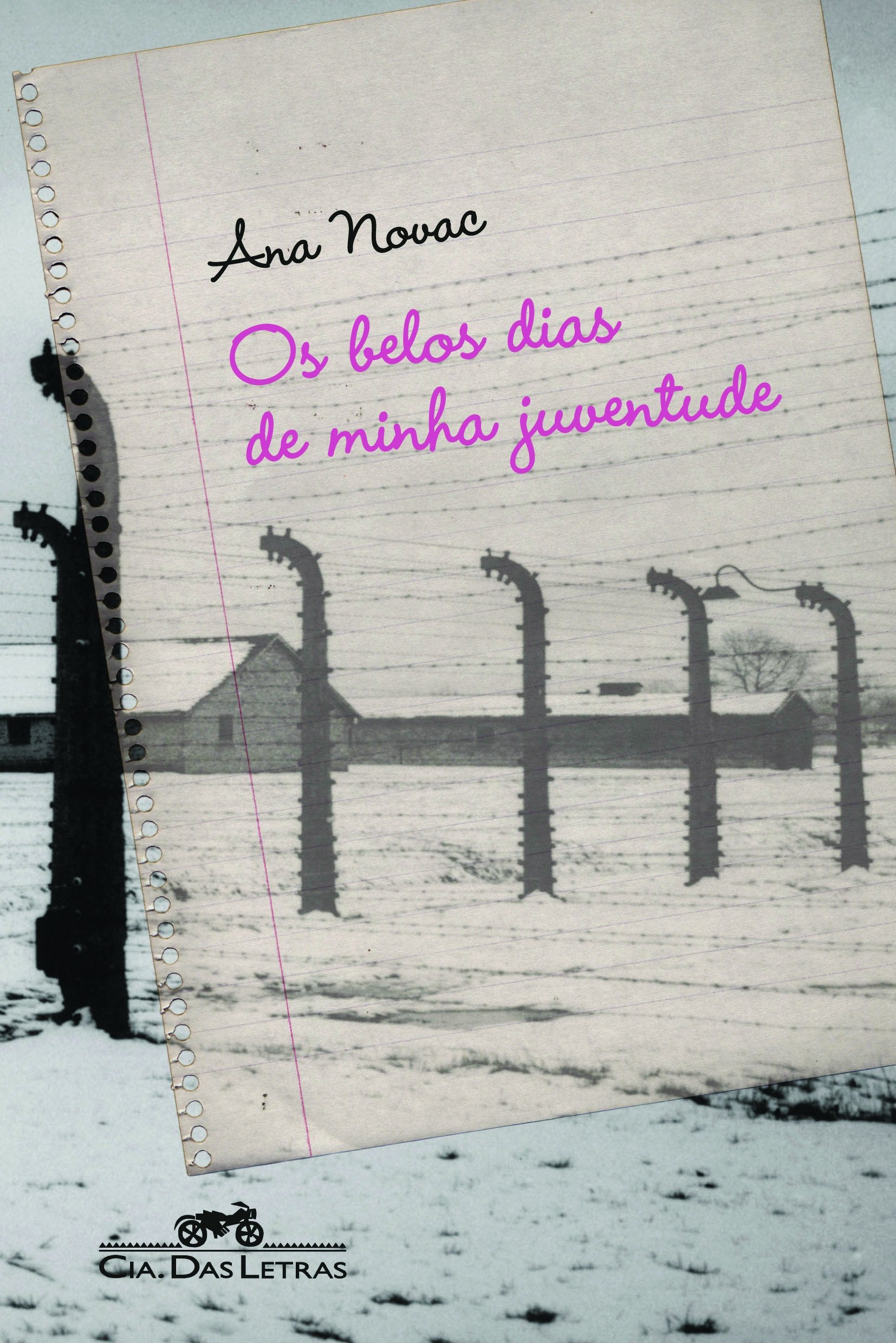 Os Belos Dias De Minha Juventude (Em Portuguese do Brasil) Books