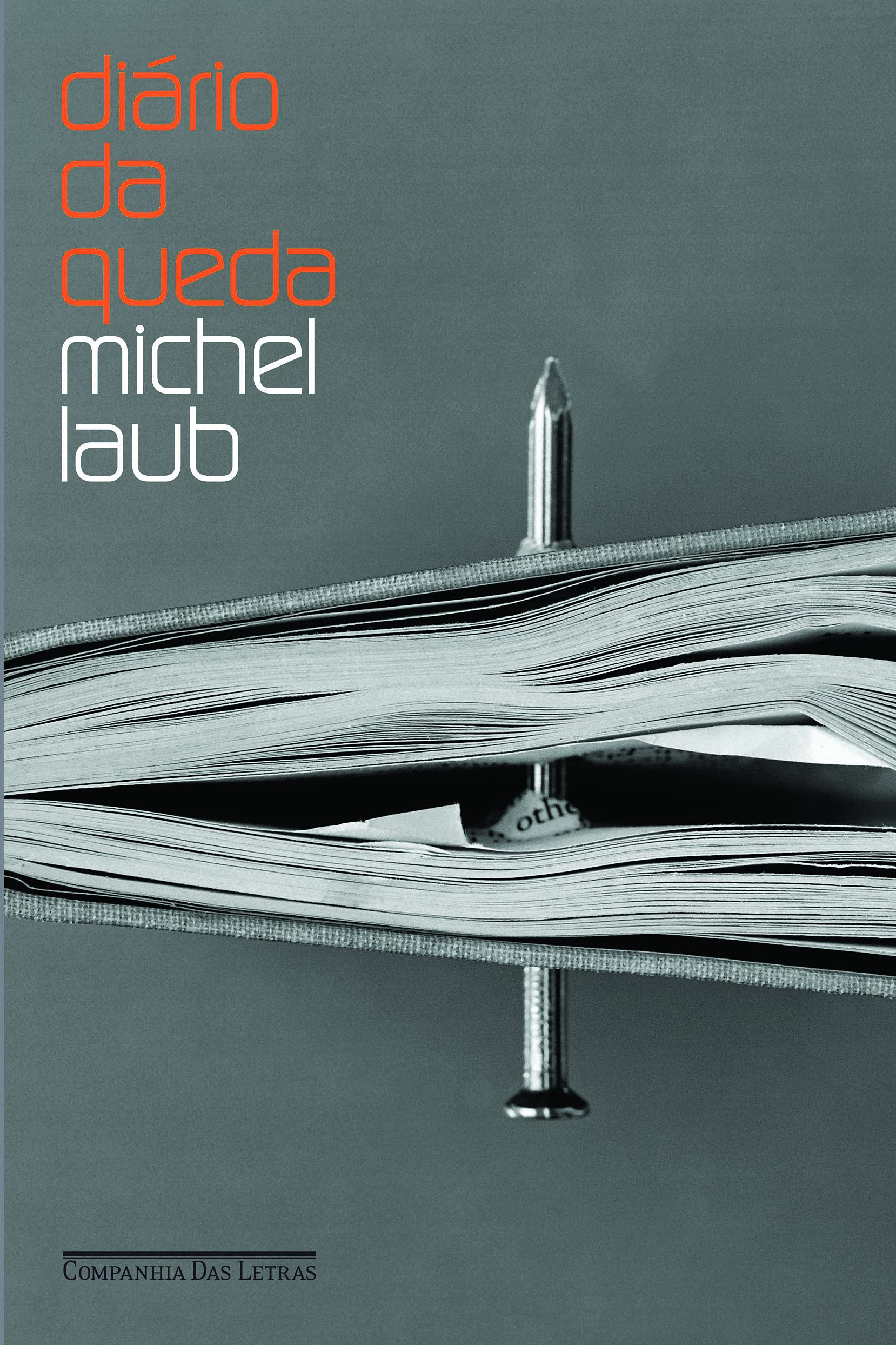 DIÁRIO DA QUEDA (Em Portuguese do Brasil) Books