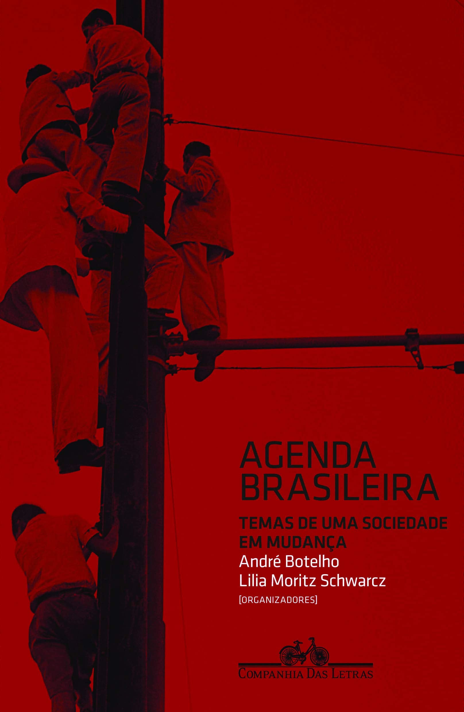 Agenda Brasileira : Temas de uma sociedade em mudança Books