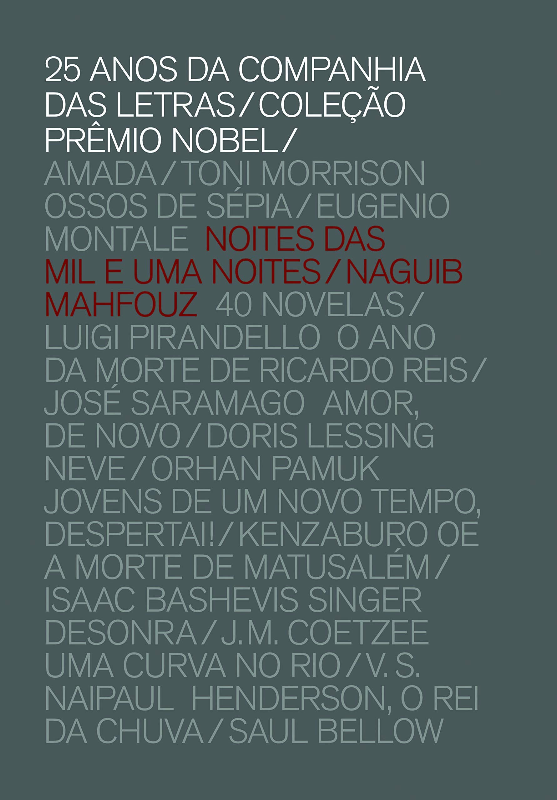 NOITES DAS MIL E UMA NOITES (COLEÇÃO PRÊMIO NOBEL) (Em Portuguese do Brasil) book