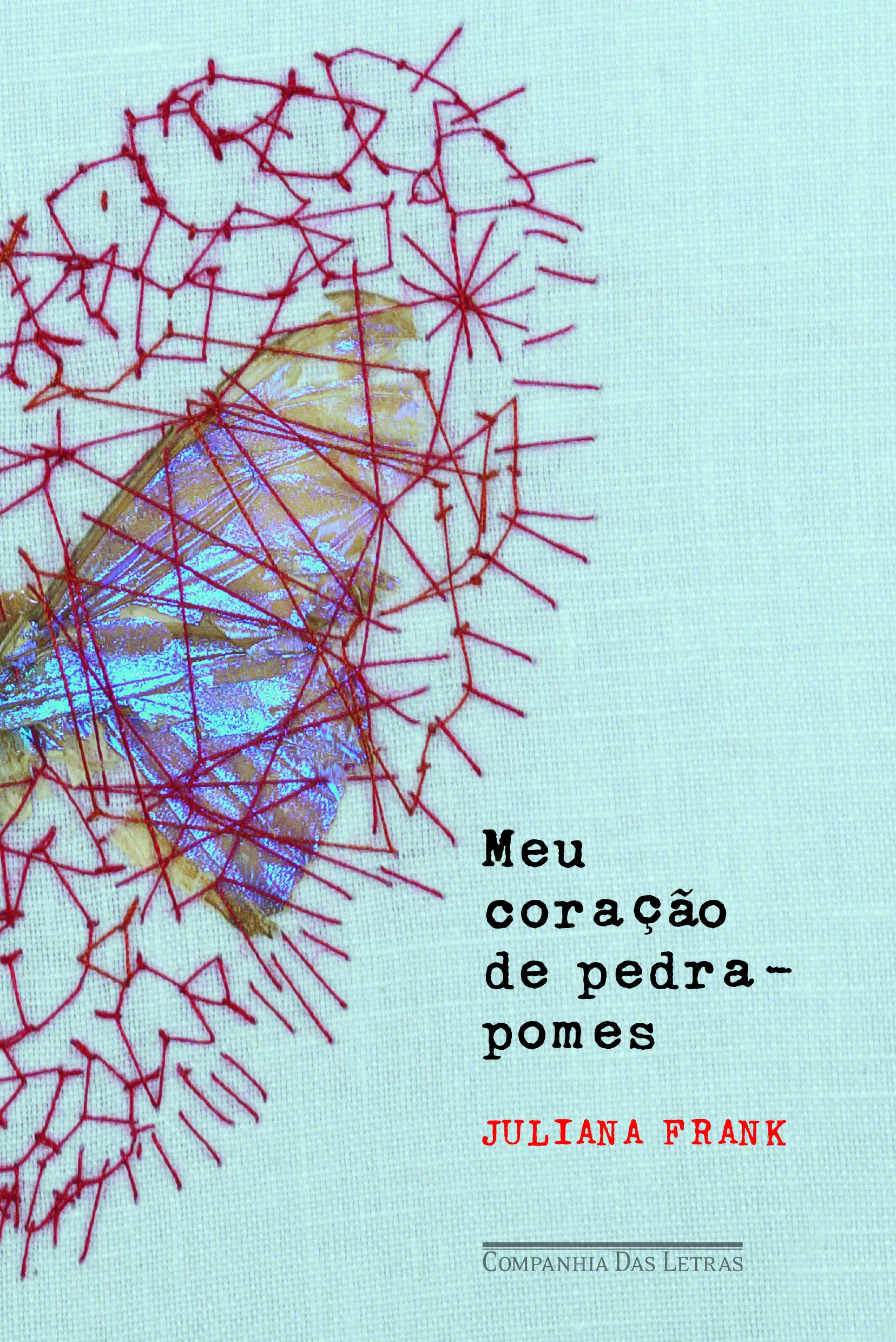 Meu Coração de Pedra-Pomes (Em Portuguese do Brasil) book