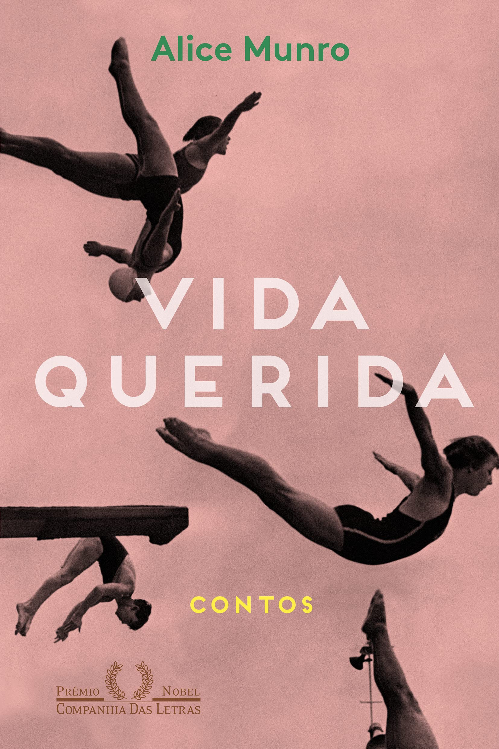 Product Image: Vida Querida (Em Portuguese do Brasil)