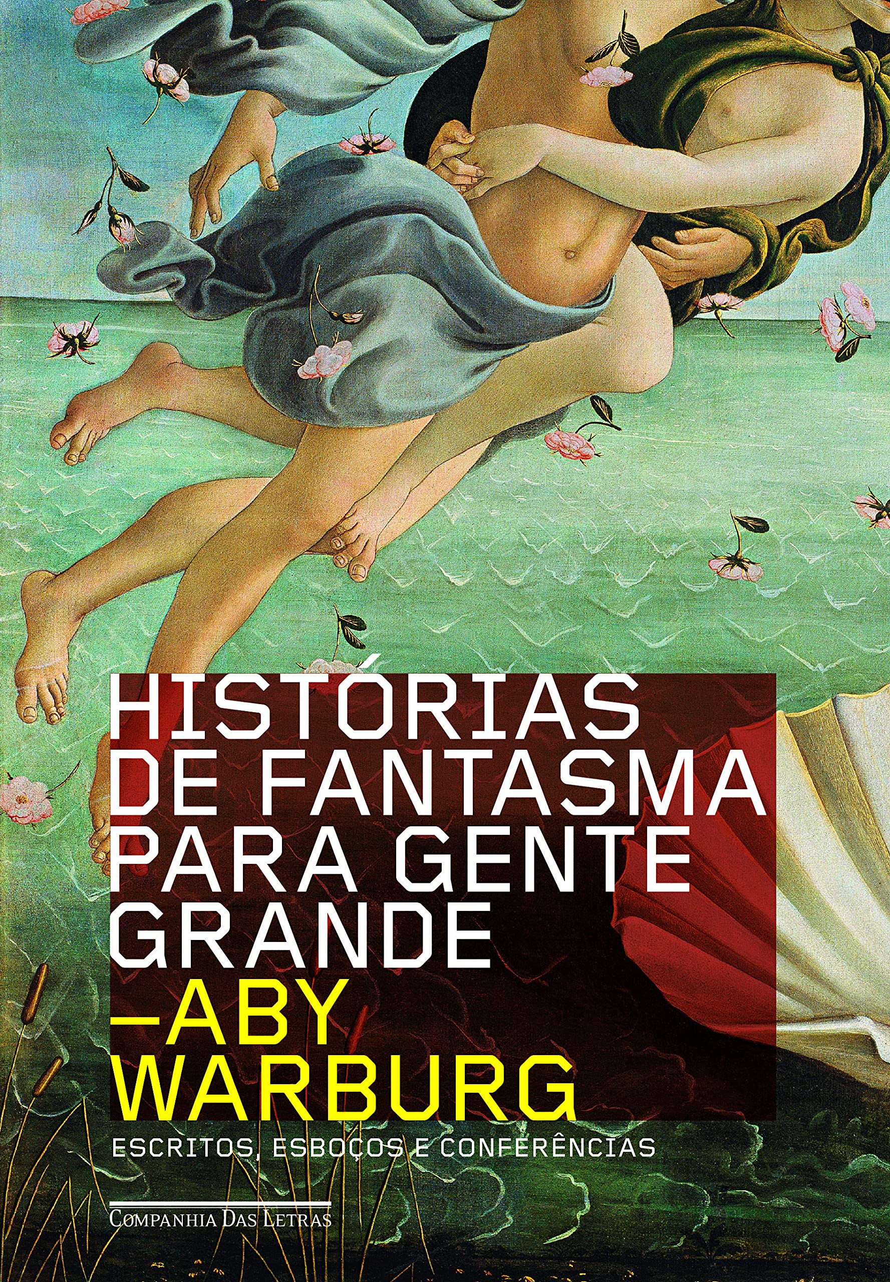 Histórias de Fantasma Para Gente Grande (Em Portuguese do Brasil) book