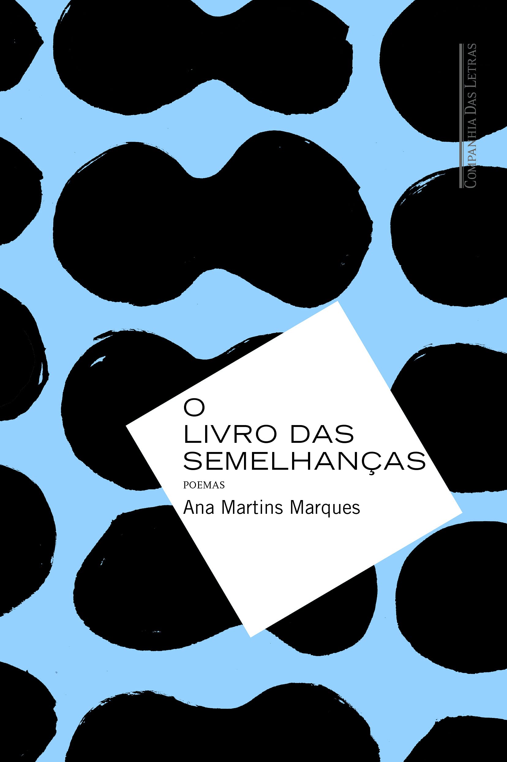 O Livro das Semelhanças (Em Portuguese do Brasil) Books