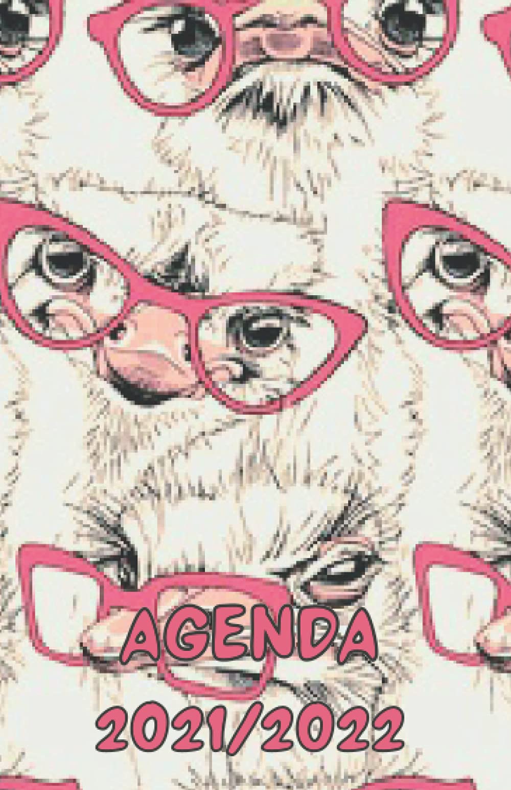 AGENDA SCOLAIRE 2021 2022: Agenda journalier | Emploi du temps | Calendrier | Planificateur Reference Books