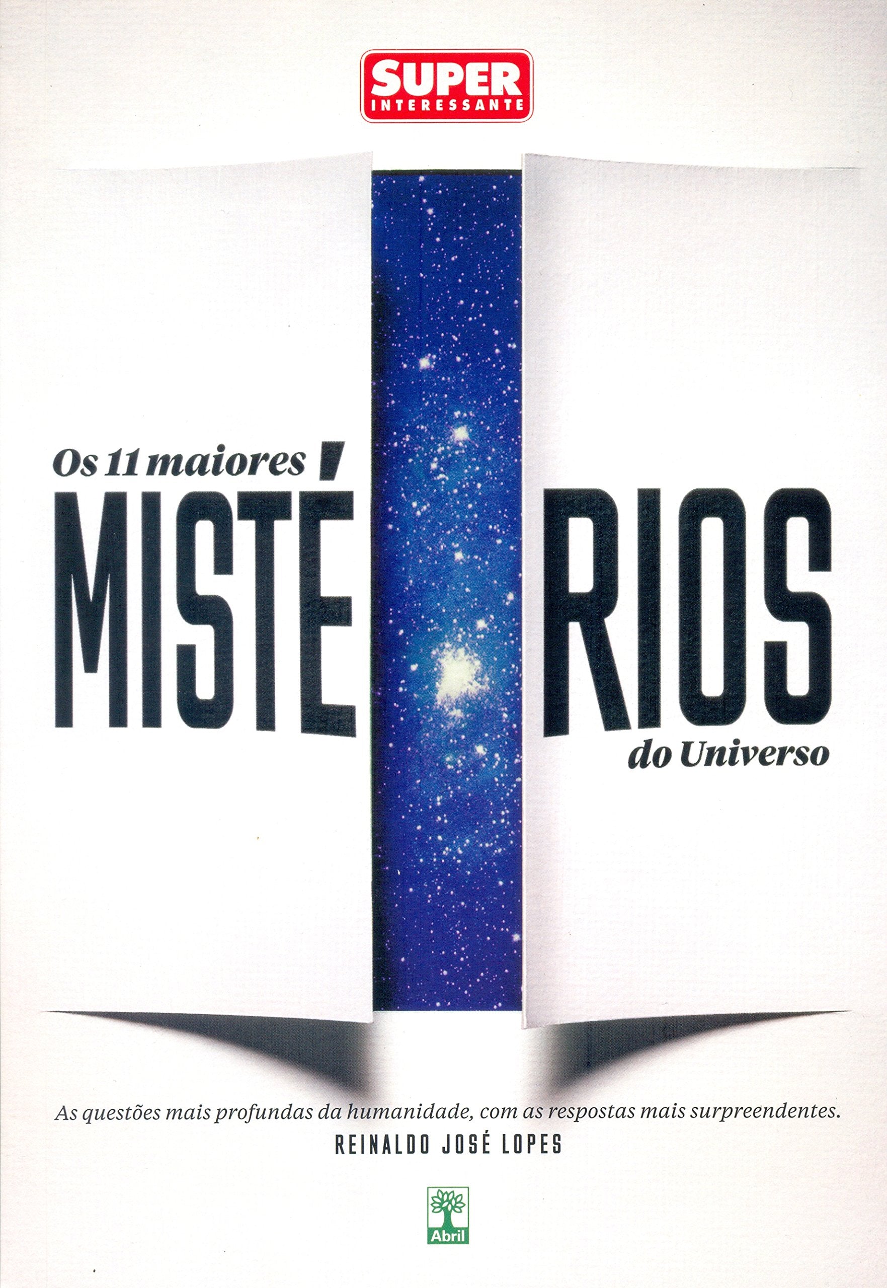 Os 11 Maiores Mistérios do Universo (Em Portuguese do Brasil) Books