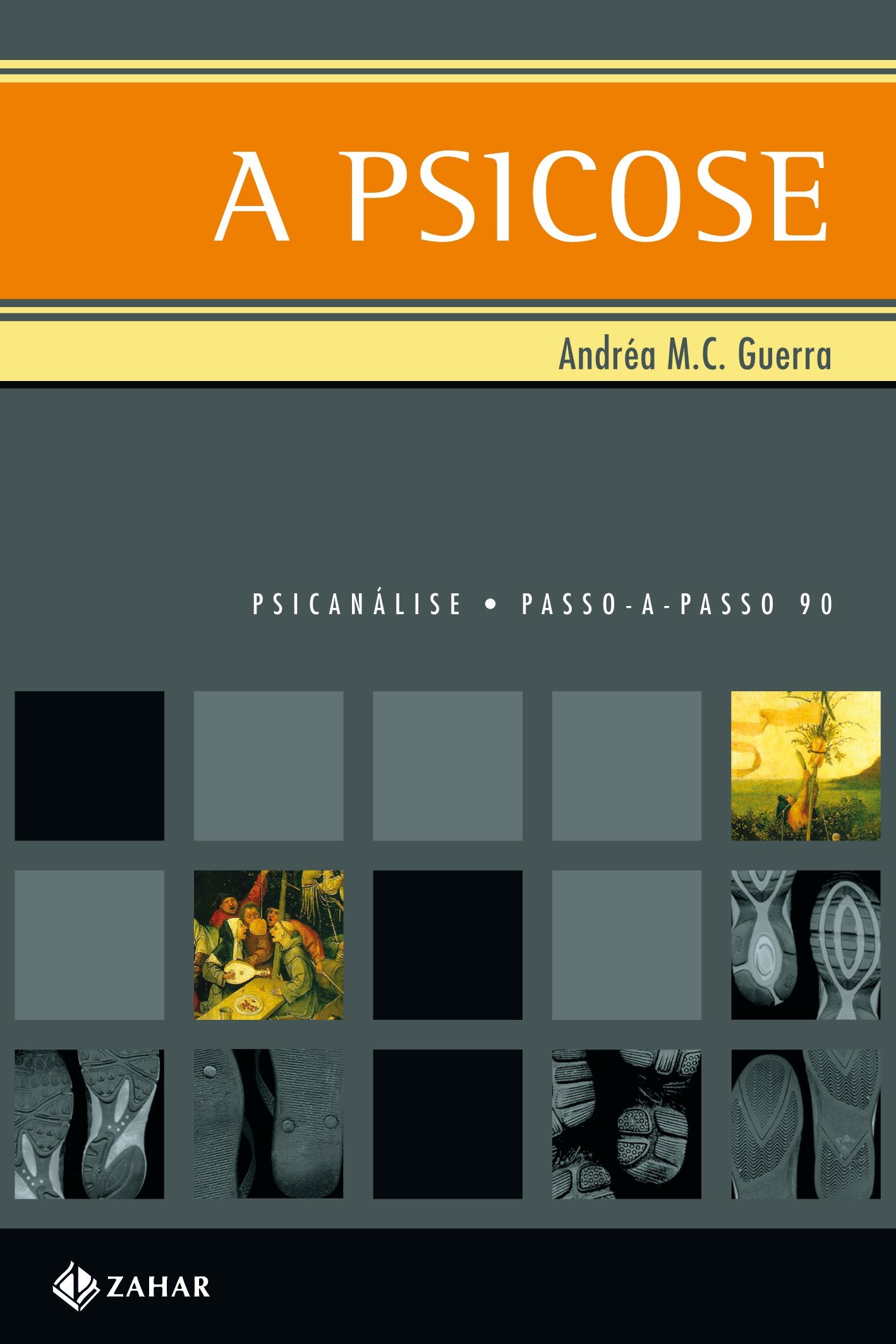 A Psicose. Coleção Passo-a-Passo Psicanálise (Em Portuguese do Brasil) Books