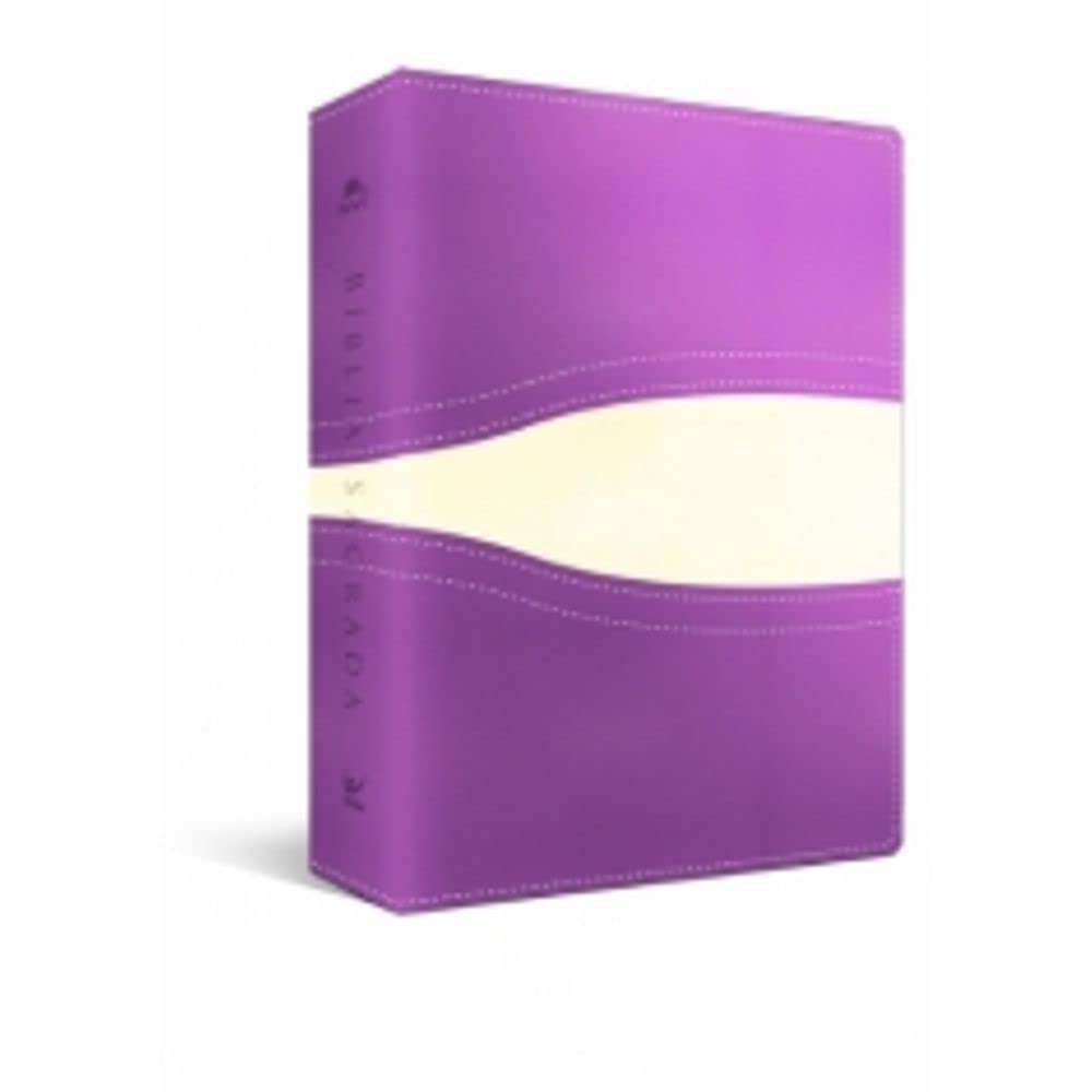 Portuguese Bible, NIV Large Print, Brazilian Portuguese, Wine/White BÍBLIA NVI LETRA GRANDE - VINHO COM BRANCO Português (Leather) Books