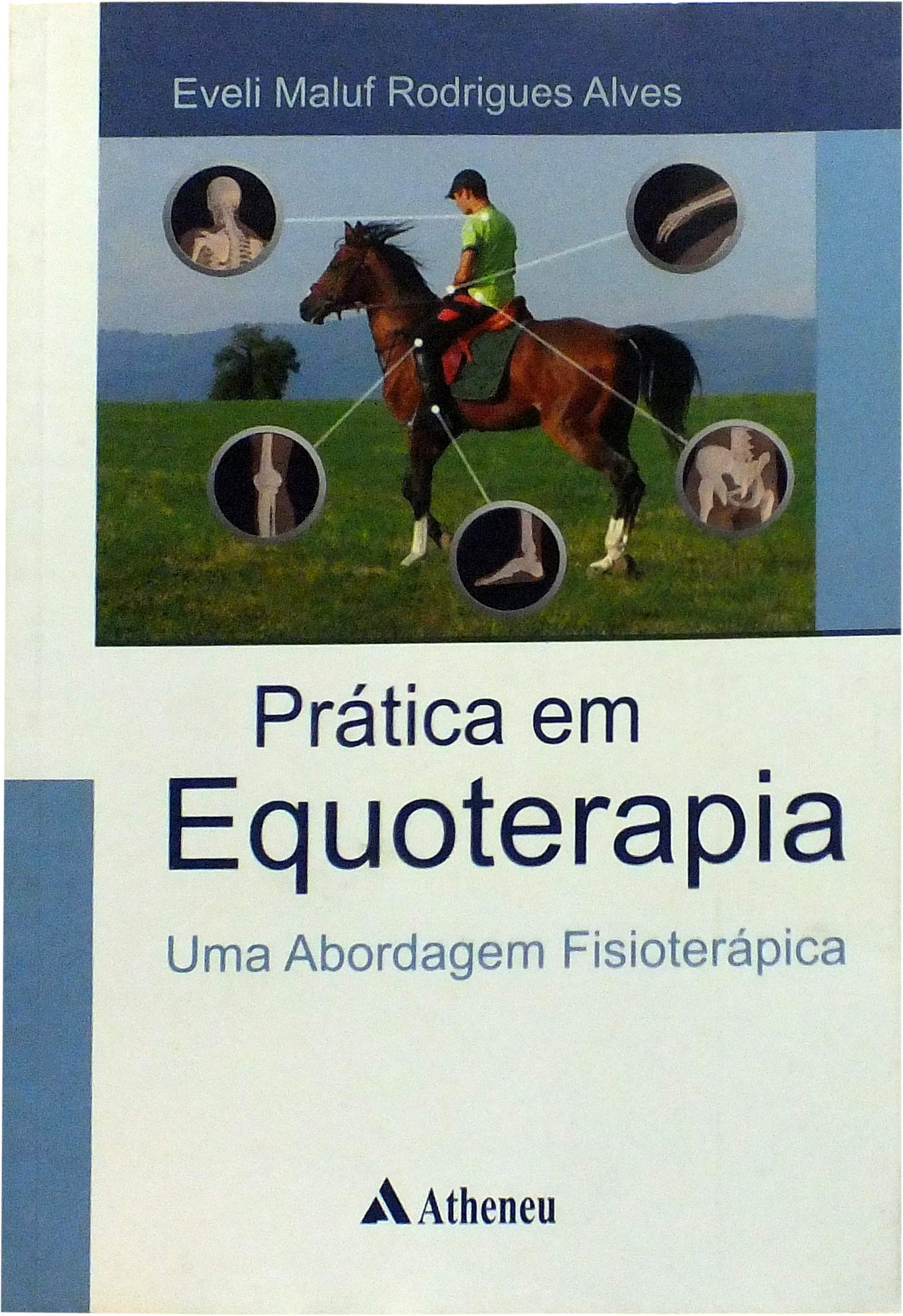 Pratica Em Equoterapia. Uma Abordagem Fisioterapica (Em Portuguese do Brasil) Books