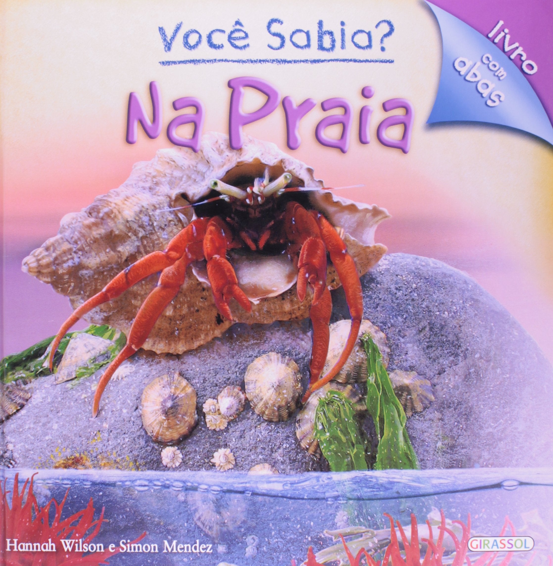 Você Sabia? Na Praia (Em Portuguese do Brasil) Books