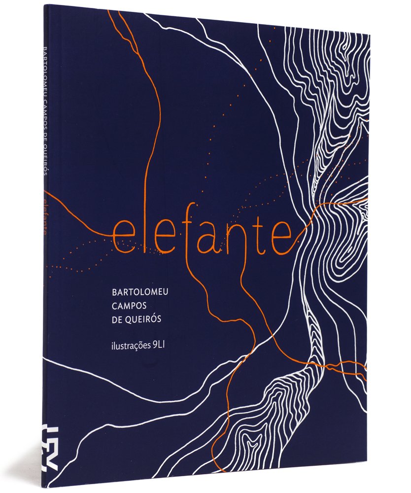 Elefante (Em Portuguese do Brasil) Books