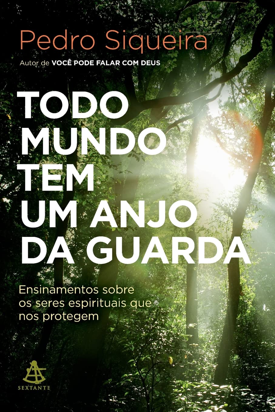 Todo mundo tem um anjo da guarda Religion & Esotericism