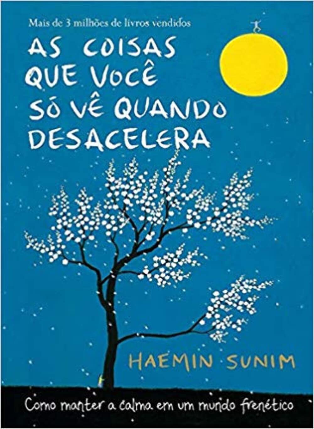 As Coisas que Você Só Vê Quando Desacelera Books