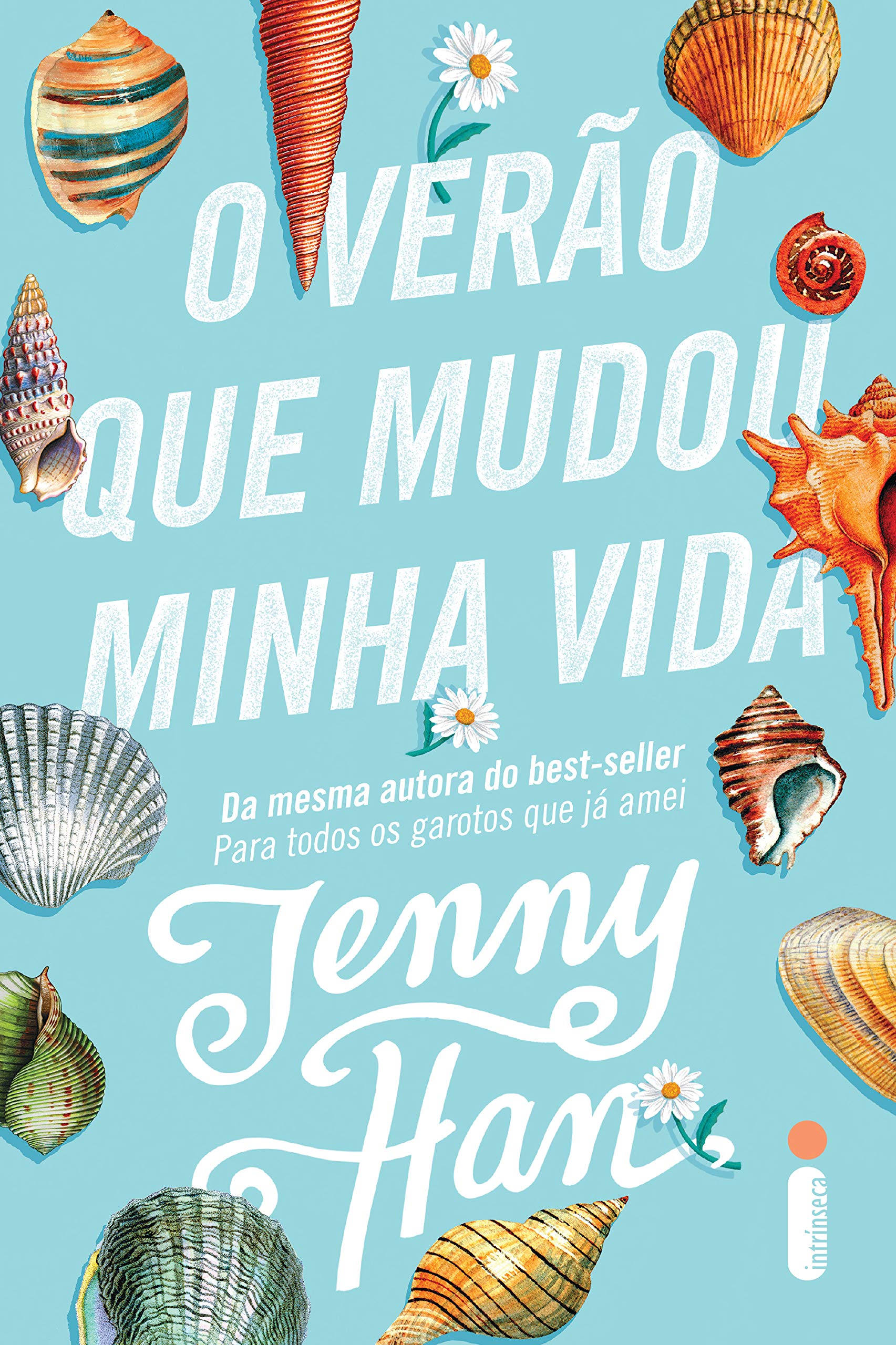Intrinseca O Verão Que Mudou Minha Vida - Vol. 1 book