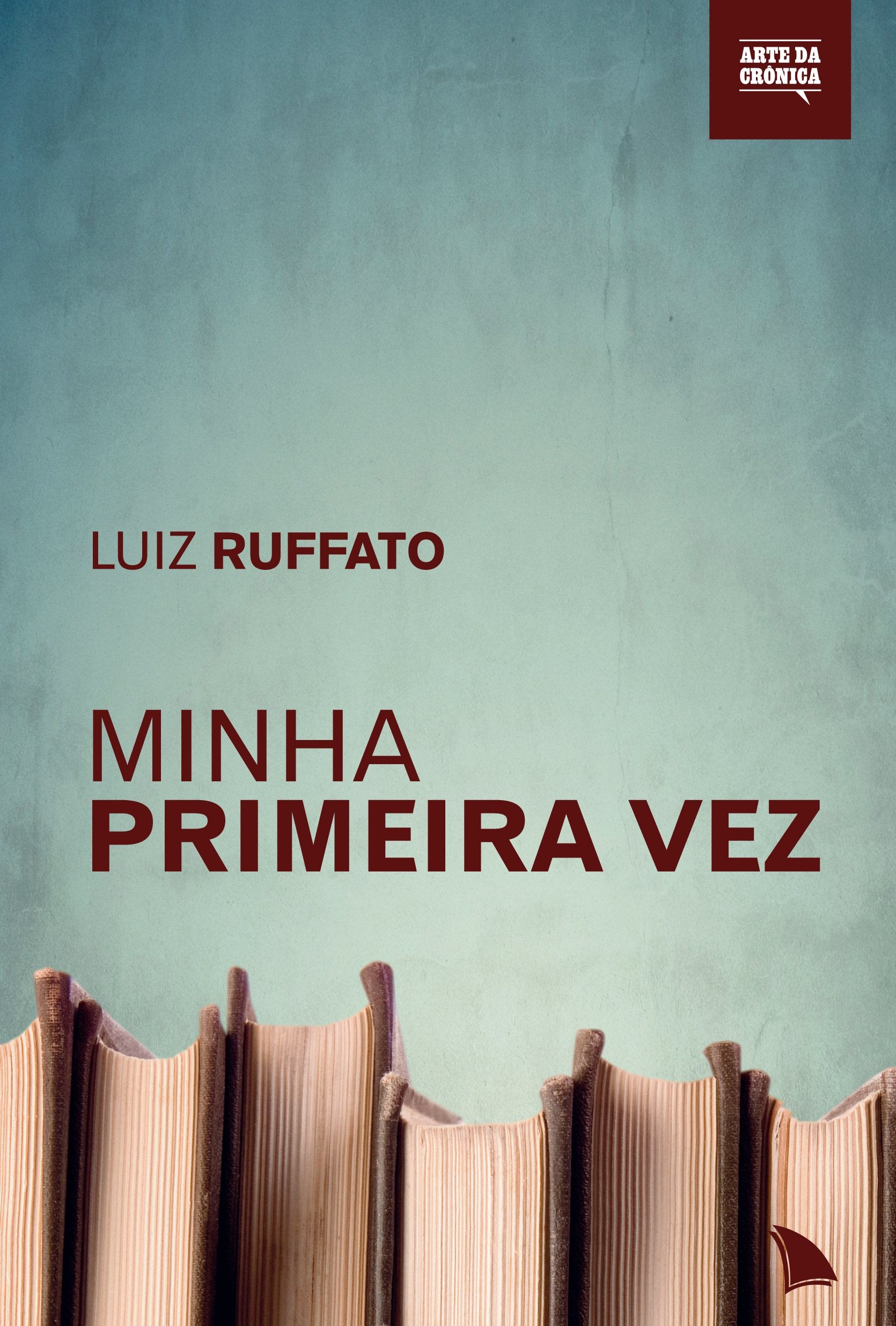 Minha Primeira Vez (Em Portuguese do Brasil) Books